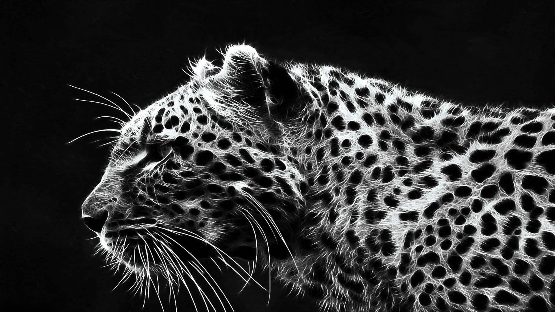 1920x1080 Free Cheetah Wallpaper Downloads, Cheetah Wallpaper for FREE