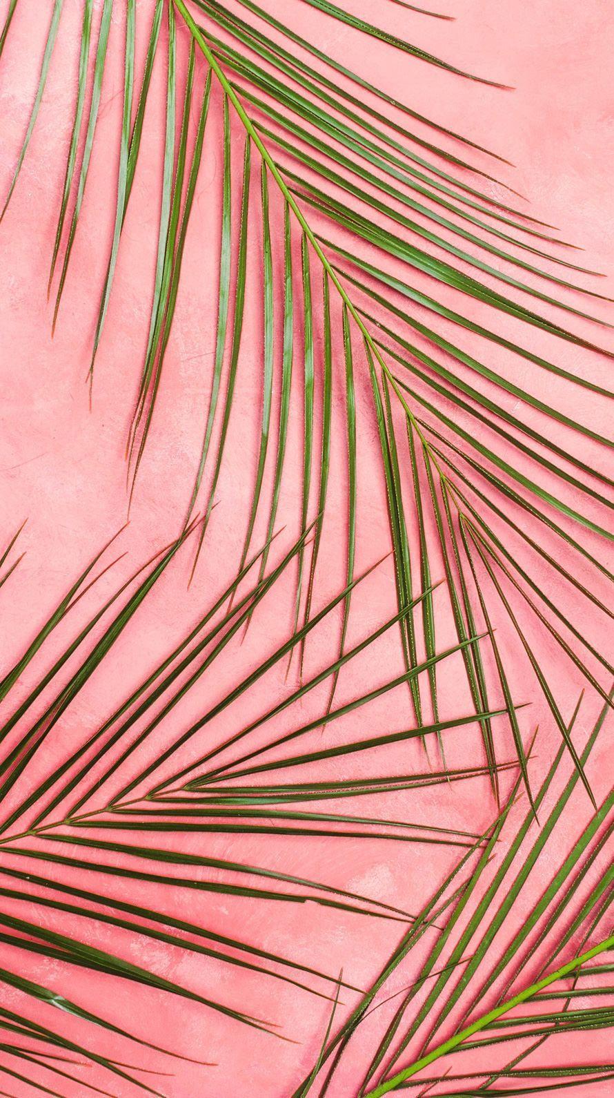 890x1590 Background & Wallpaper in 2019