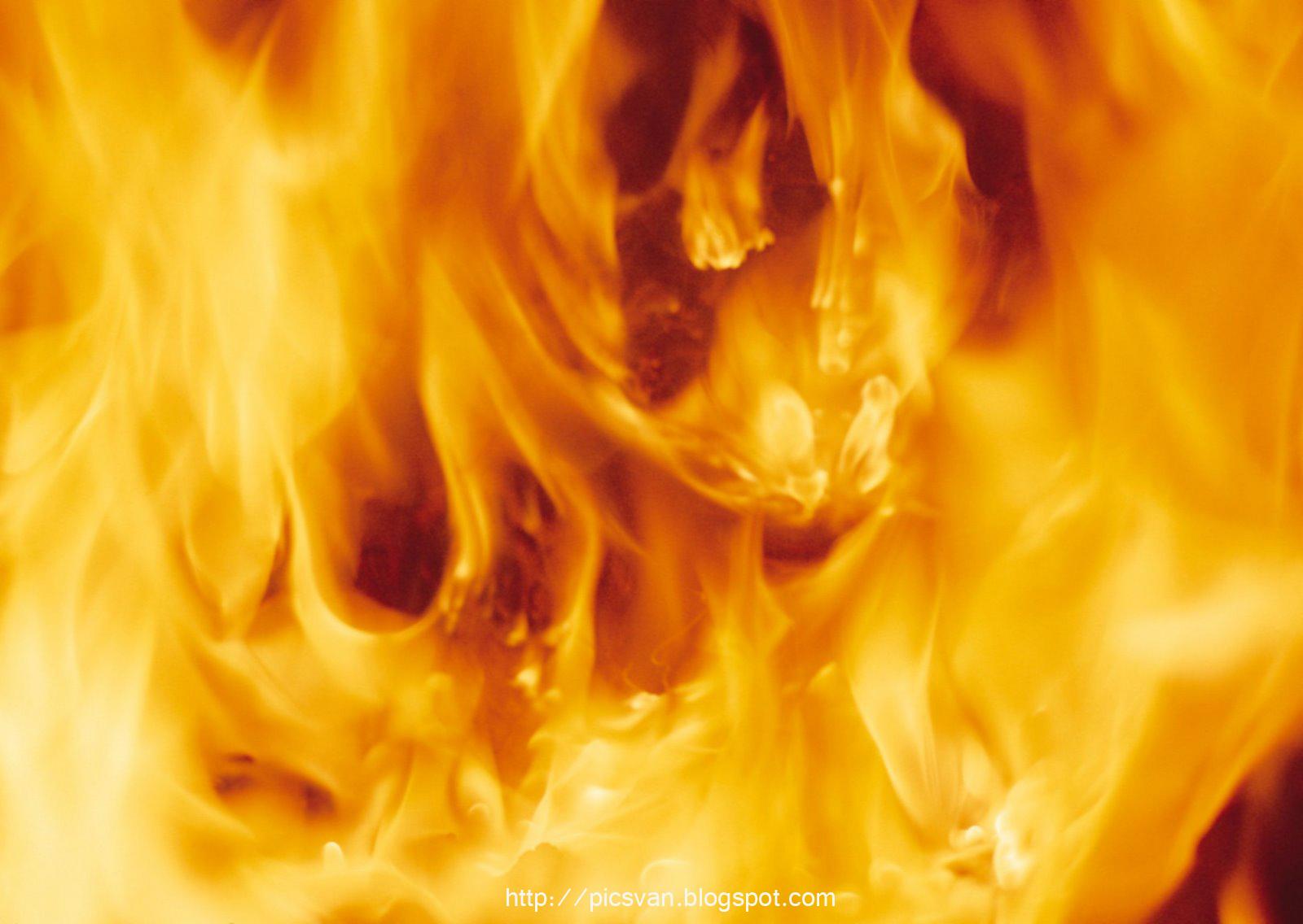 1600x1136 Free download Fire Background 1950x2024 PSD fire background HD collection PSD [1600x1136] for your Desktop, Mobile & Tablet. Explore Fire Desktop HD Wallpaper. HD Fire Wallpaper, Fire Wallpaper Hd