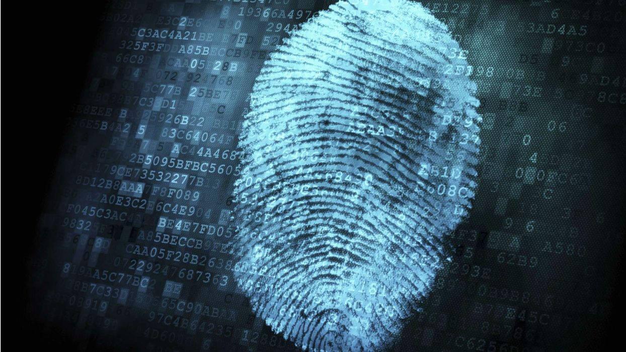 1244x700 Download Cyber Digital Fingerprint Wallpaper