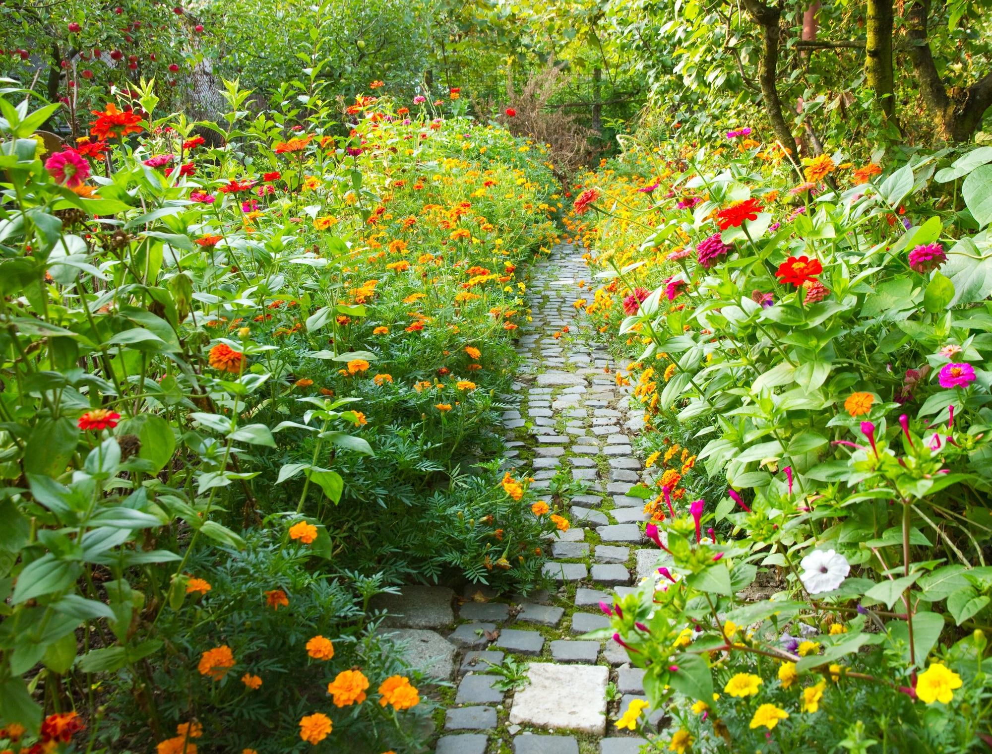 2000x1520 Flower Garden Picture
