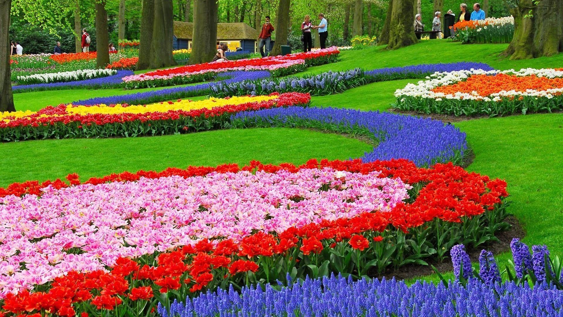 1920x1080 Beauty around us / Красота вокруг нас. Flower garden image, Beautiful flowers garden, Flower garden