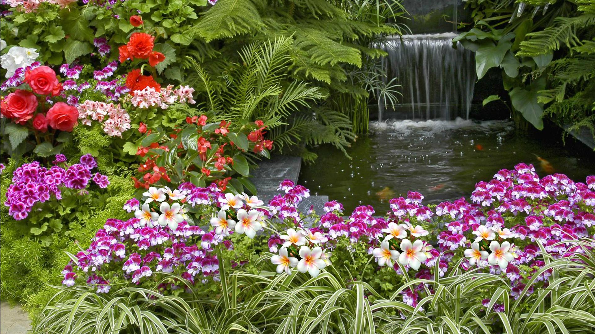 1920x1080 Flower Garden HD Desktop Background. The Organizing Lady