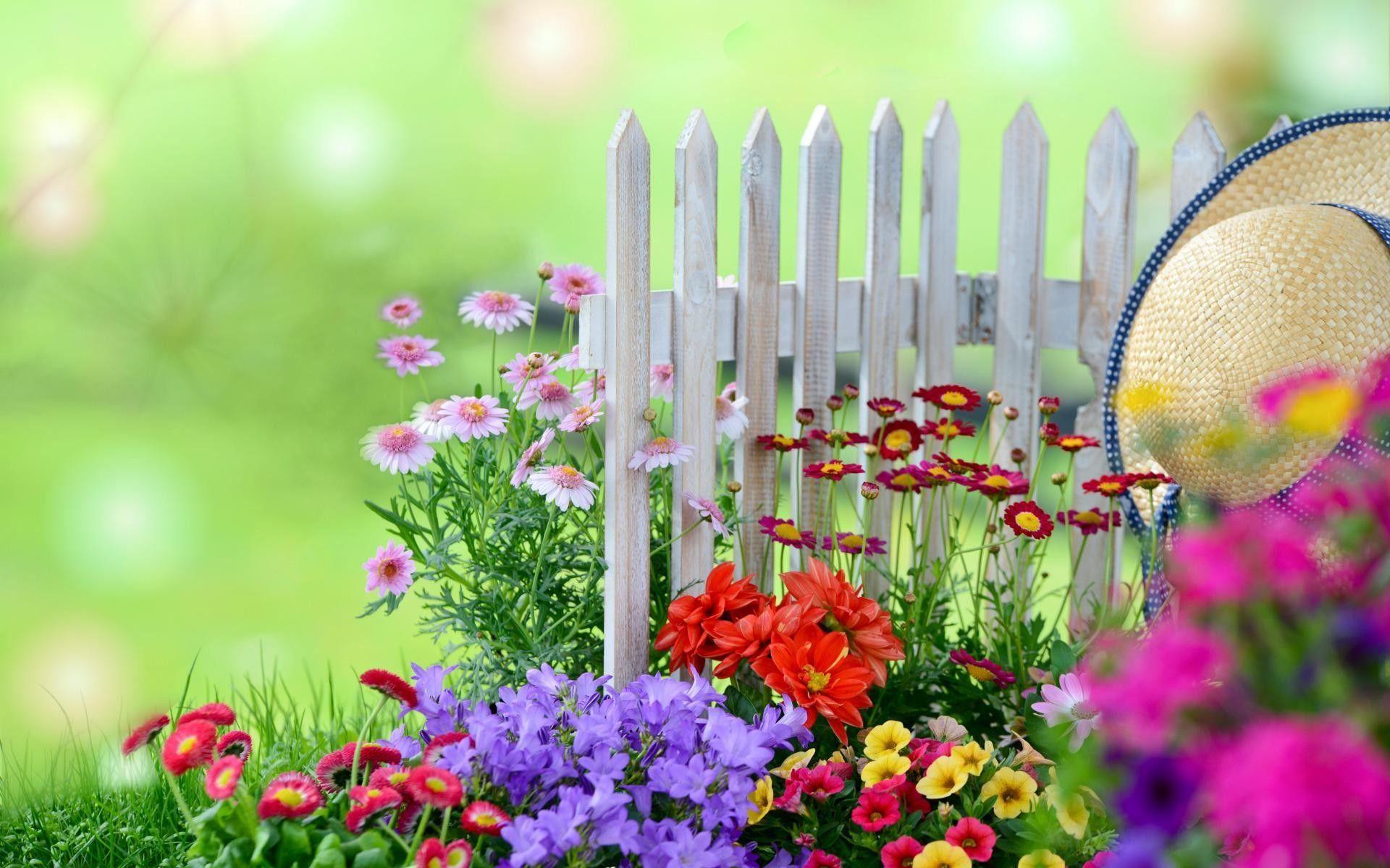 1920x1200 Flower Garden English Wallpaper