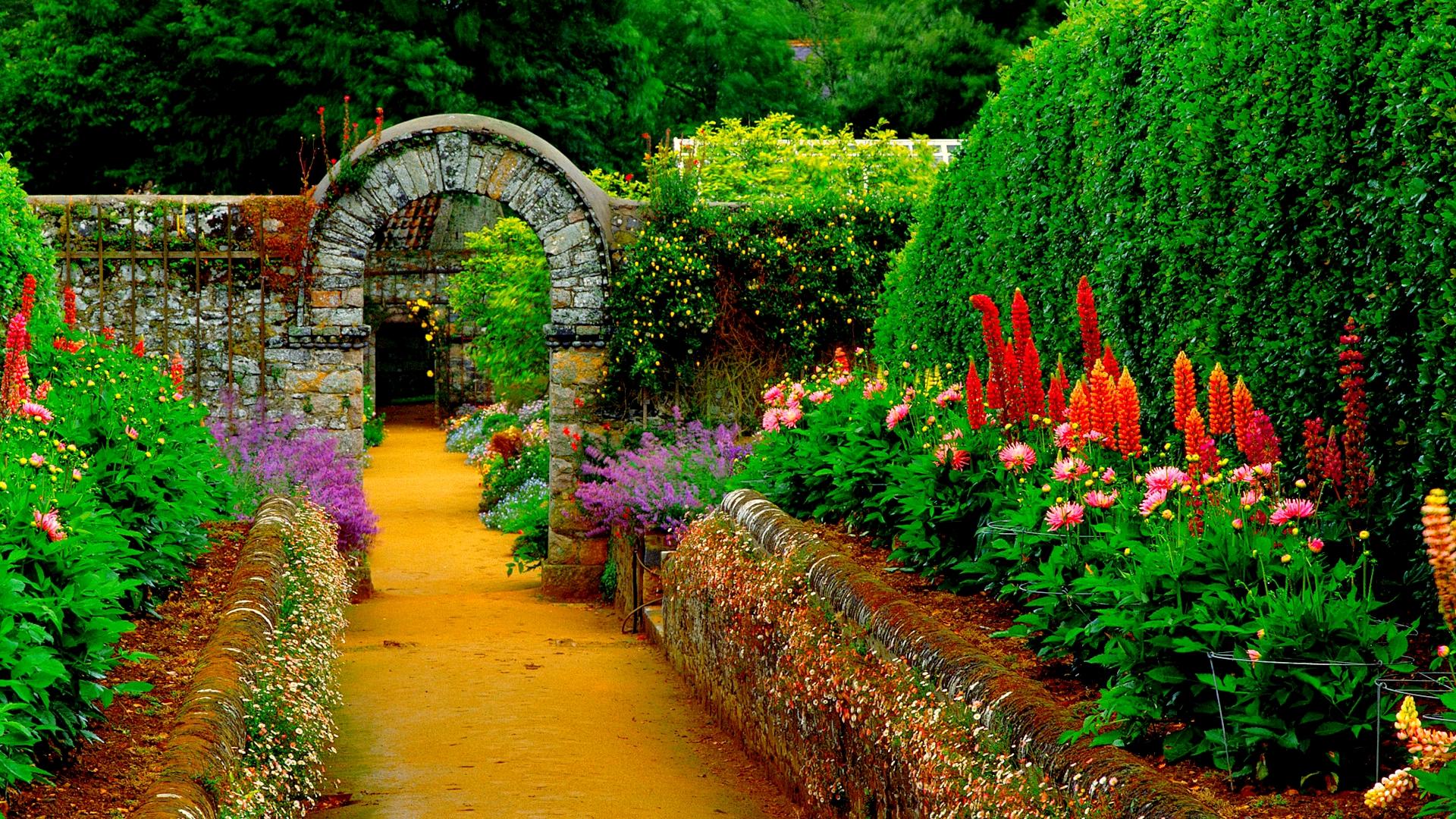 1920x1080 1920x1080 Path, Garden, Flower wallpaper JPG Gallery HD Wallpaper