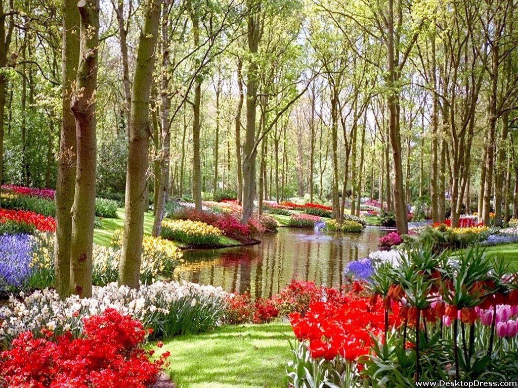 1024x768 Natural Flower Garden Wallpaper