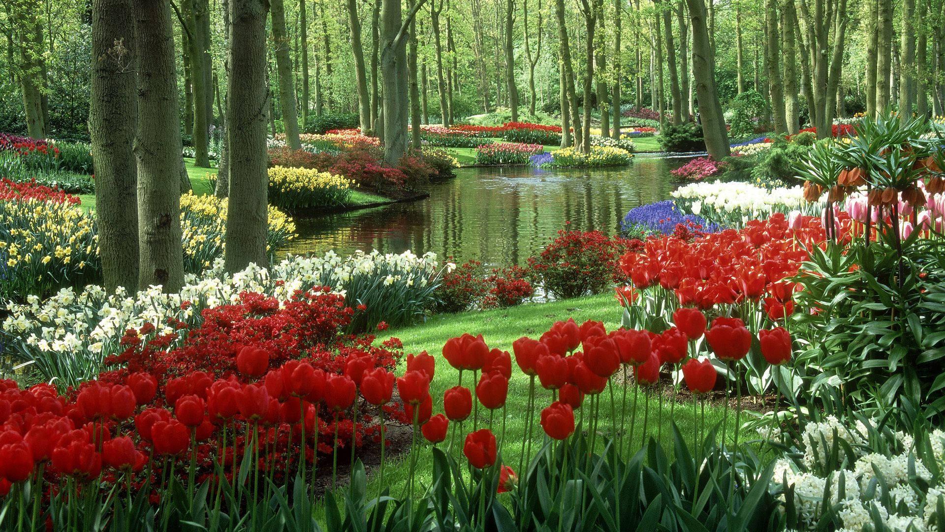 1920x1080 Download Spring Desktop River Flower Garden Wallpaper