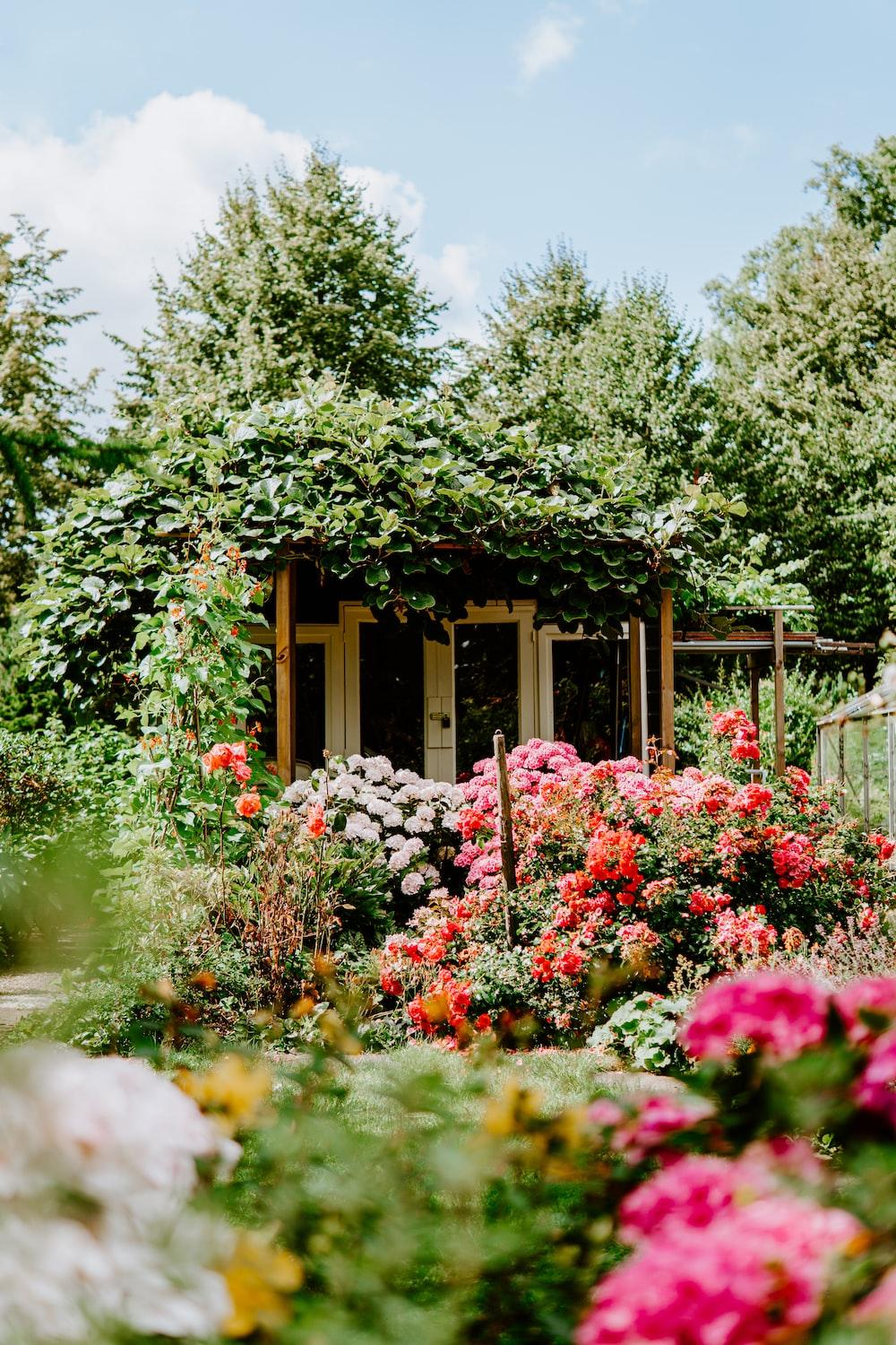 1000x1500 Flower Garden Picture. Download Free Image