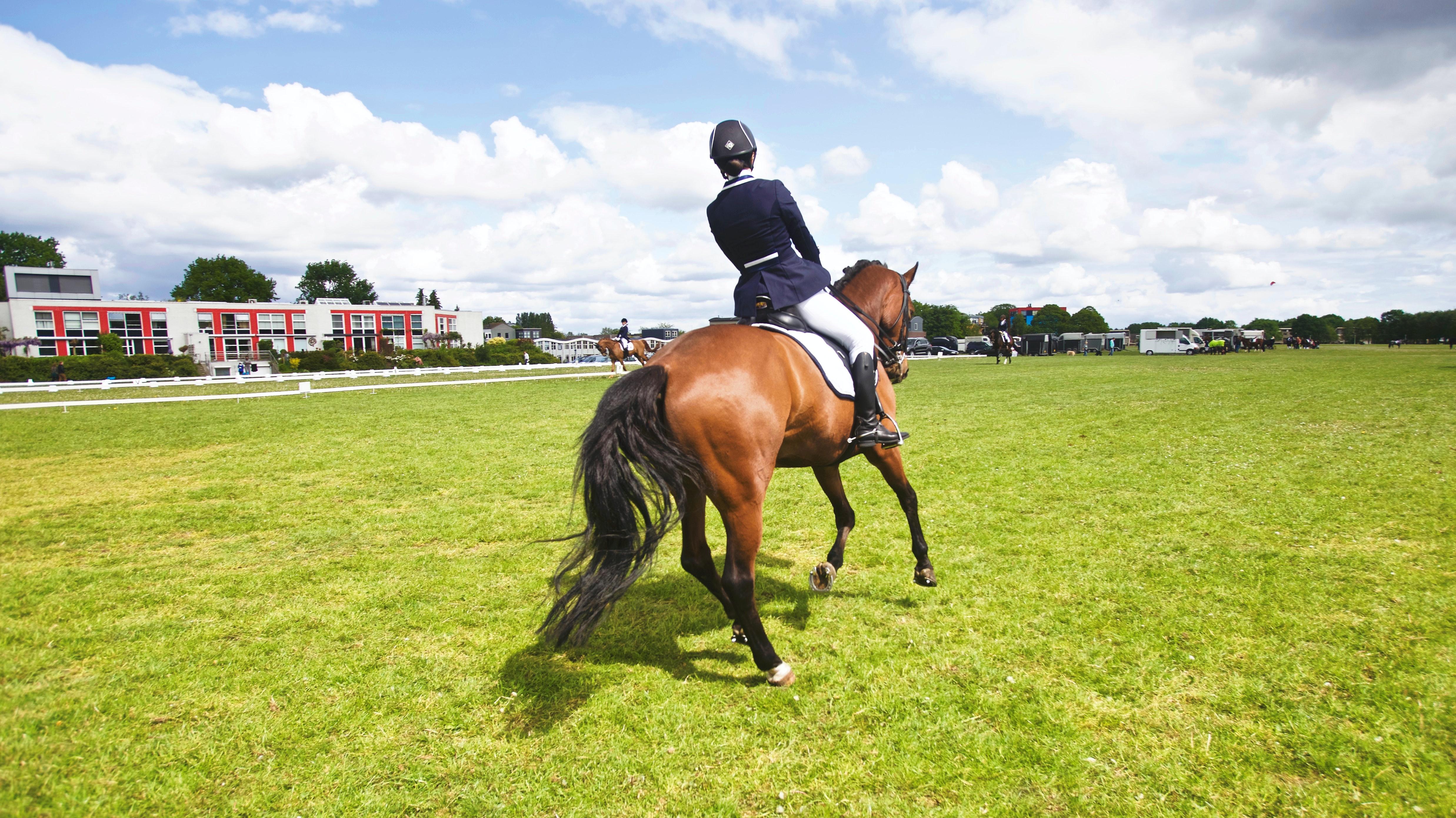 4950x2784 Dressage Photo, Download Free Dressage & HD Image