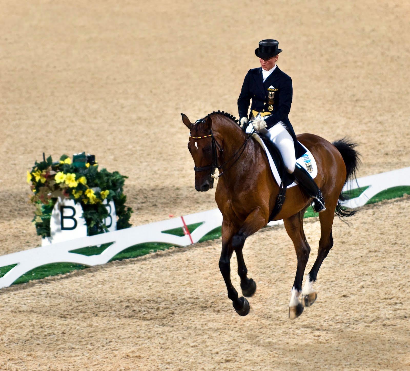 1600x1449 Free download Dressage Wallpaper [1600x1449] for your Desktop, Mobile & Tablet. Explore Dressage Wallpaper