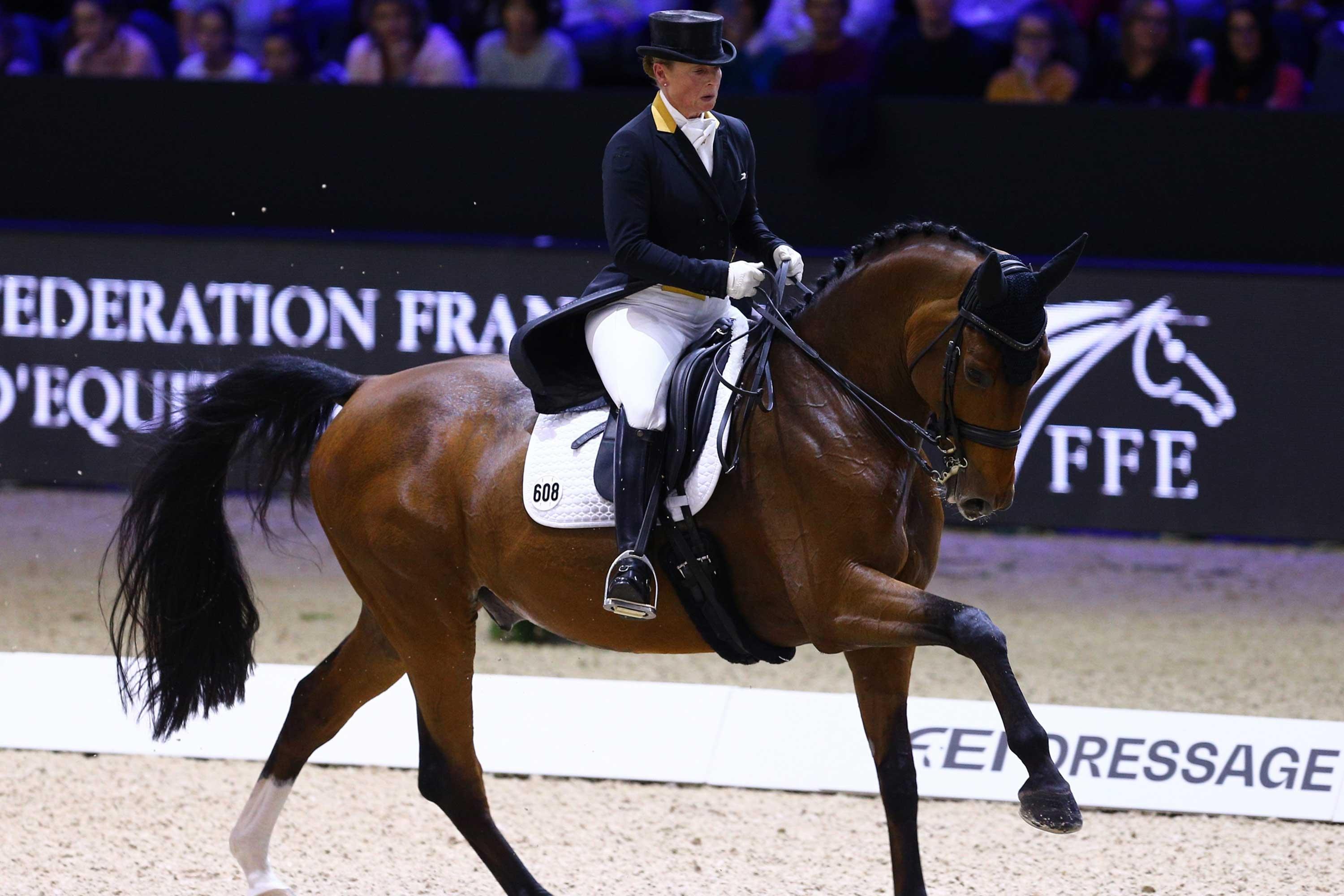 3000x2000 Dressage Wallpaper: 4K, HD, 1920x1080 Phone & Desktop Background