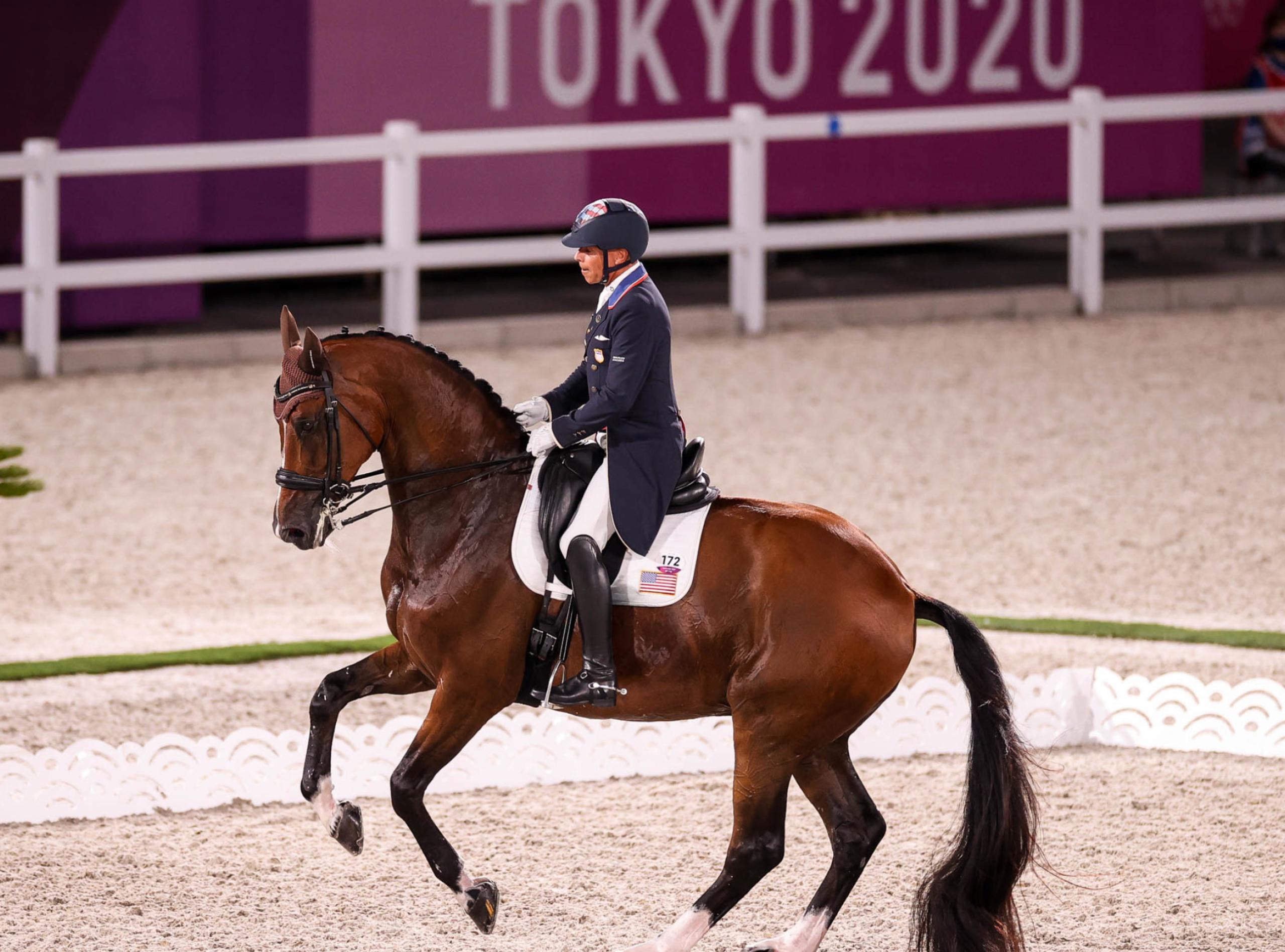 2560x1897 Dressage Wallpaper: 4K, HD, 1920x1080 Phone & Desktop Background