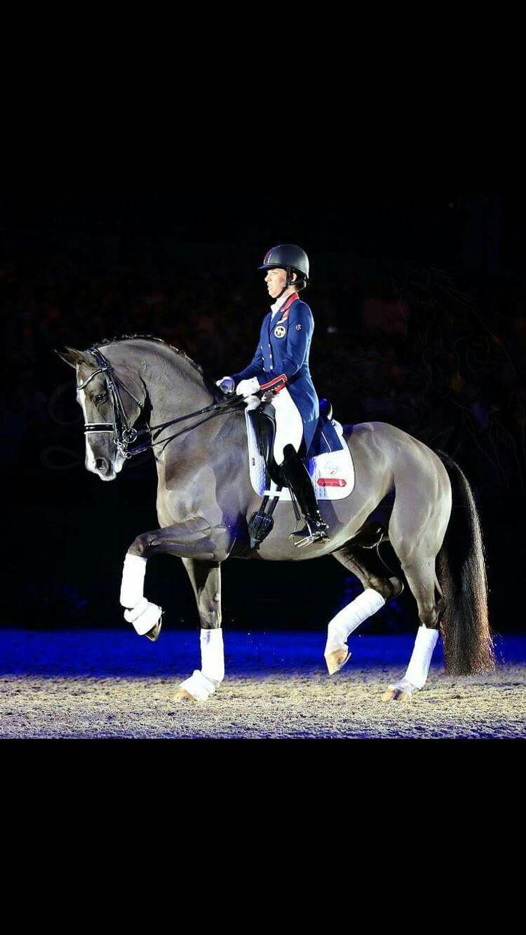 736x1309 Charlotte and Valegro the best pair!! We will miss seeing the two of you!. Dressage horses, Horse equestrian, Horse dressage