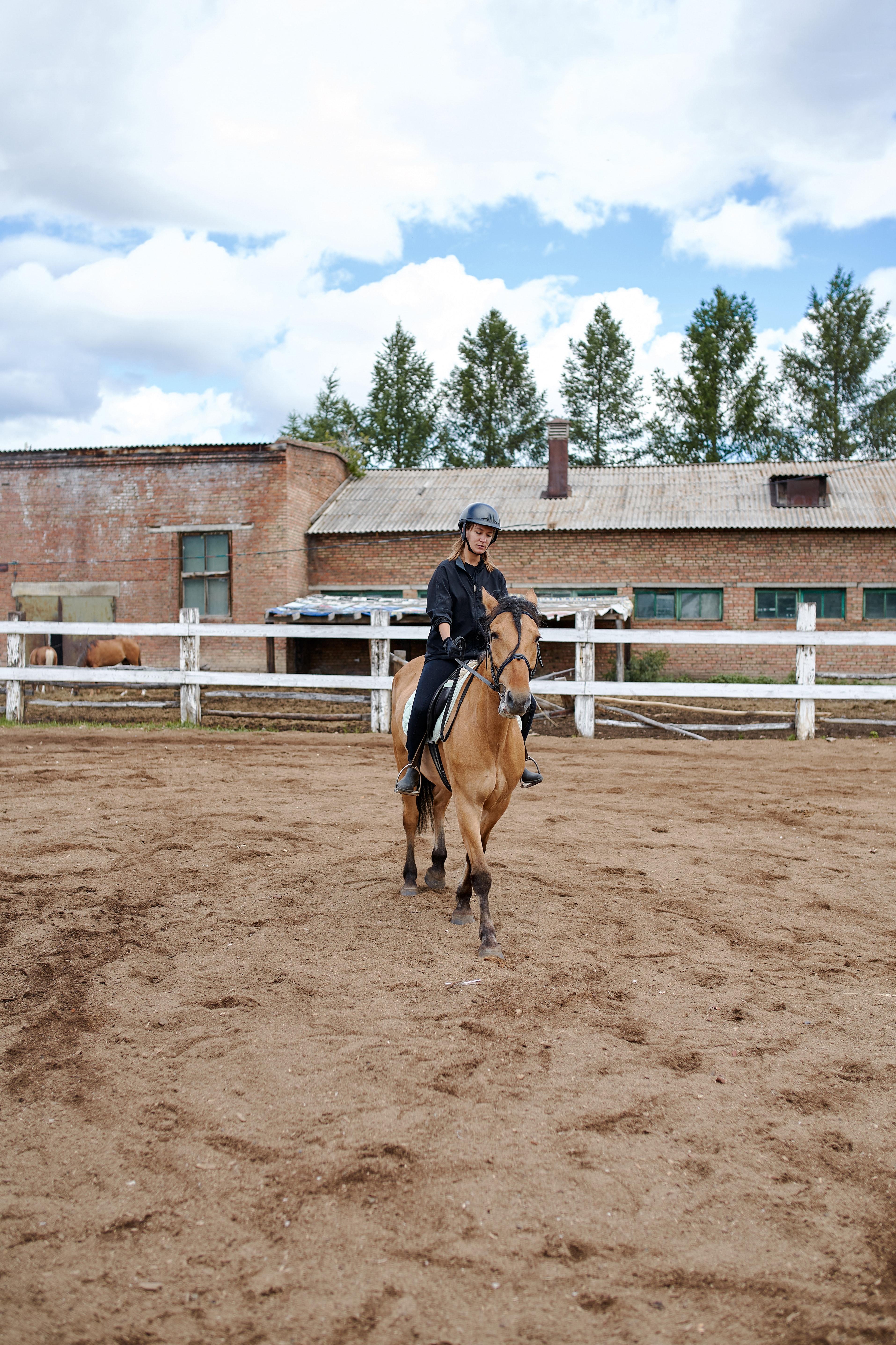 3829x5744 Dressage Photo, Download Free Dressage & HD Image