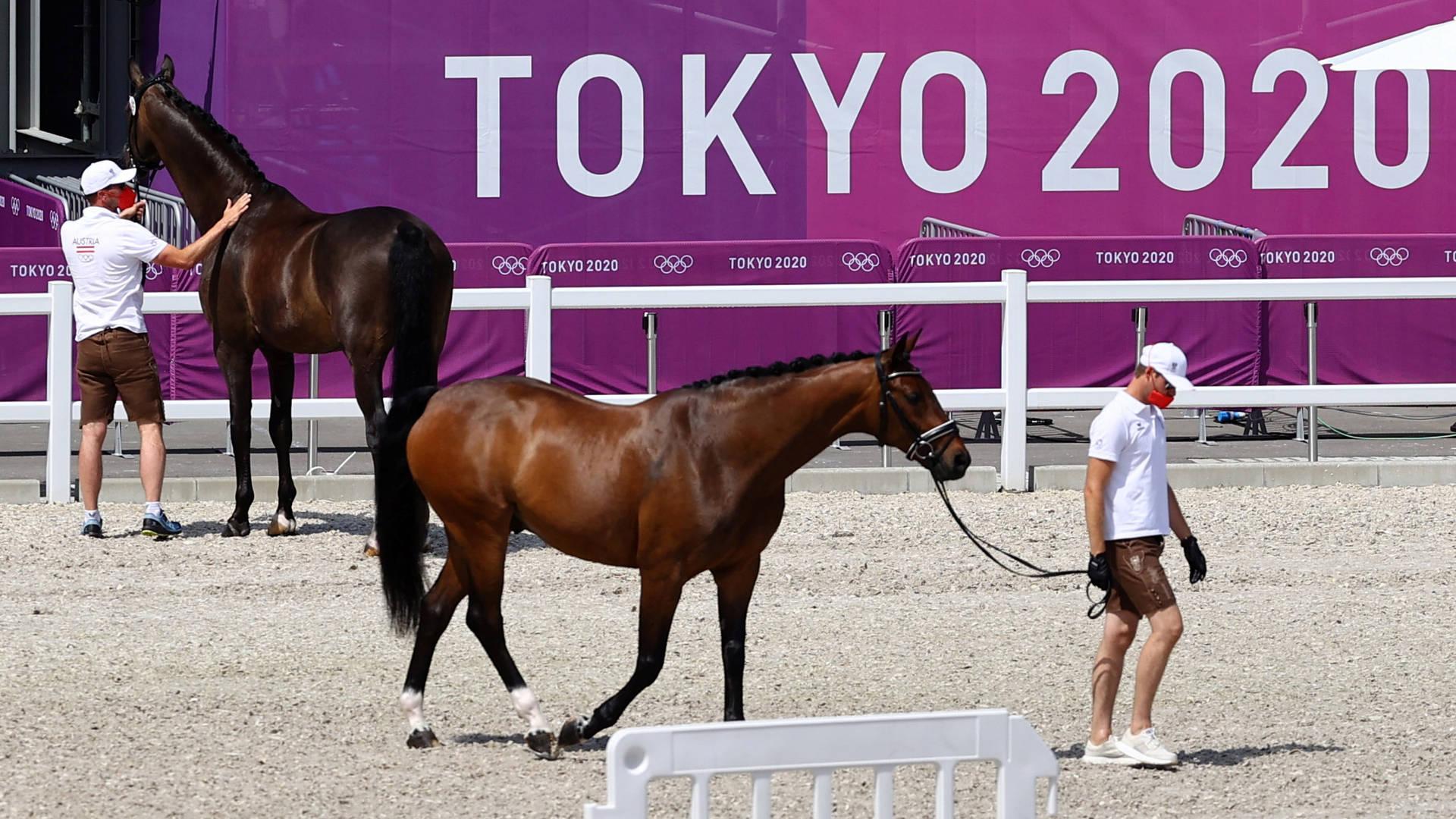 1920x1080 Download Equestrian Dressage Horse Inspection Tokyo 2020 Olympics Wallpaper