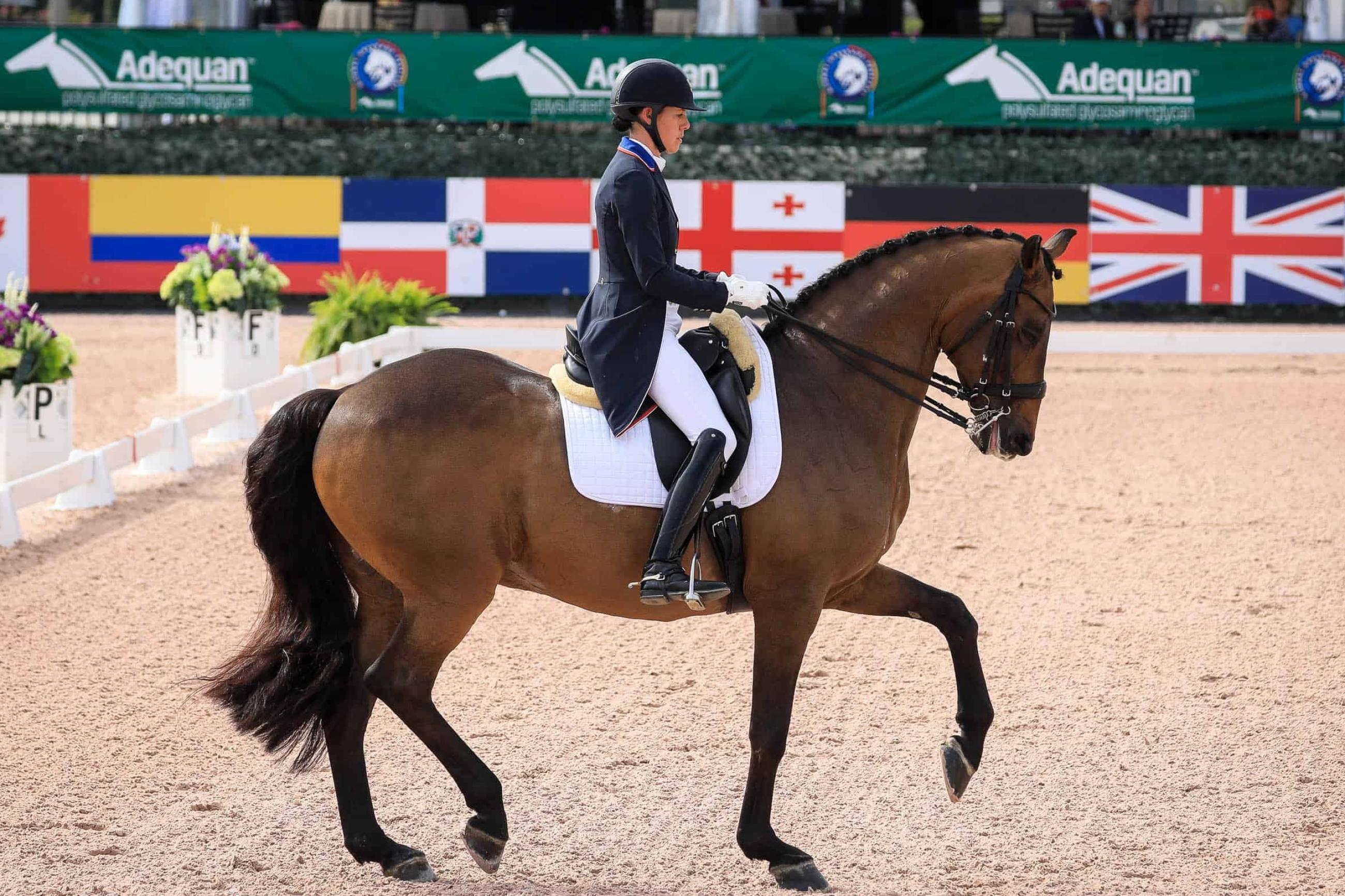 2600x1733 Dressage Wallpaper: 4K, HD, 1920x1080 Phone & Desktop Background