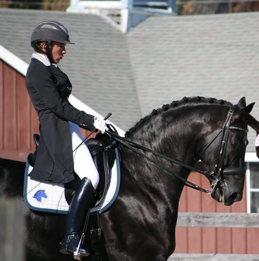 994x1000 What To Do: Dressage at Devon tops busy weekend of events. The Unionville Times