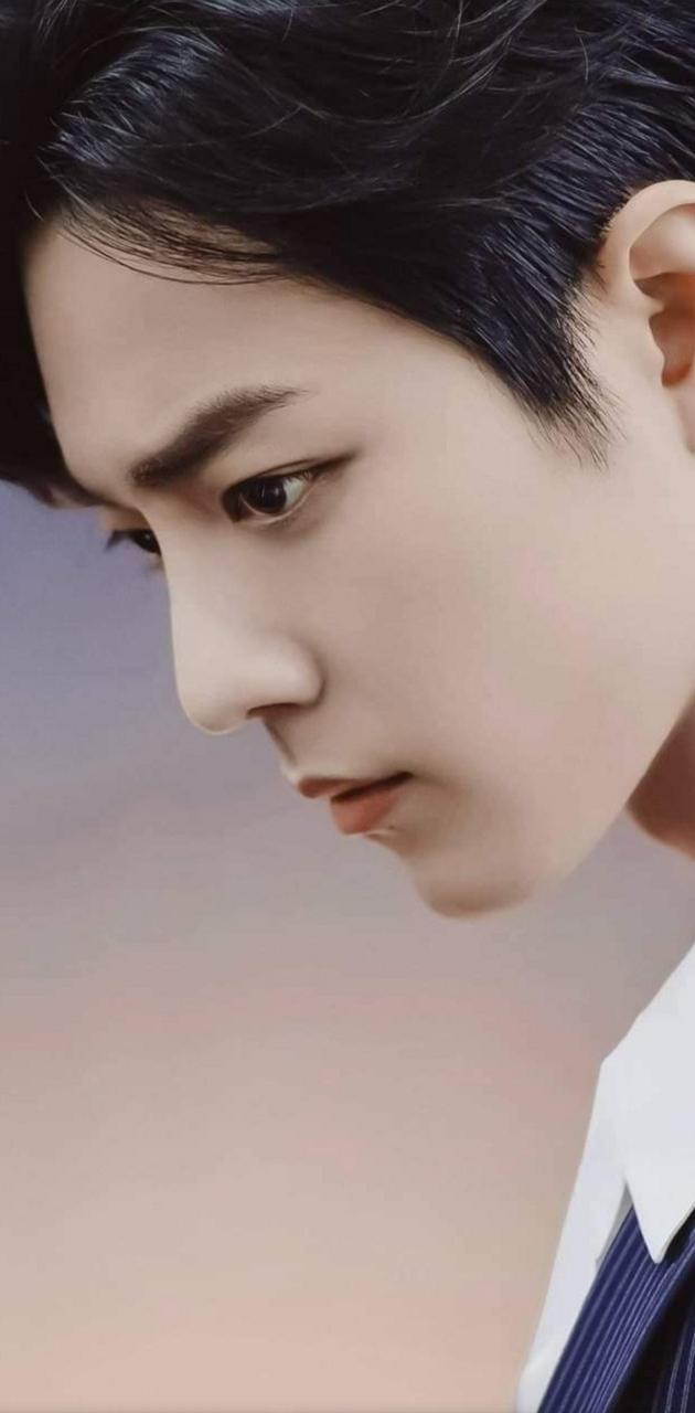 630x1280 Xiao Zhan wallpaper
