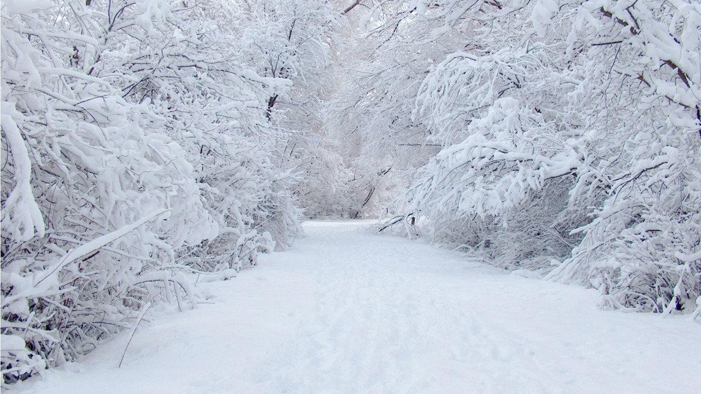 1366x768 Download 1366x768 laptop Winter desktop wallpaper for free