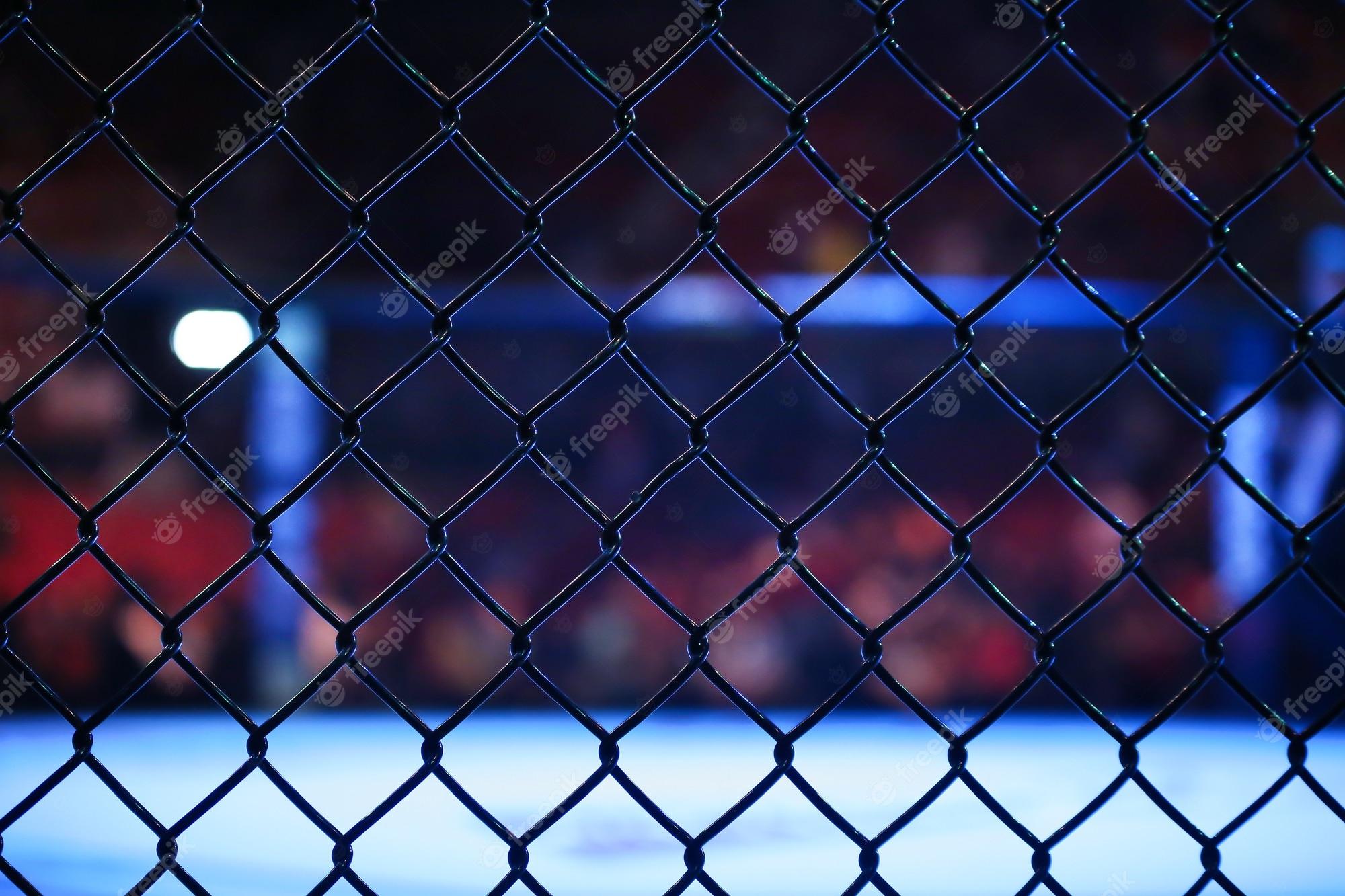 2000x1333 Mma Image