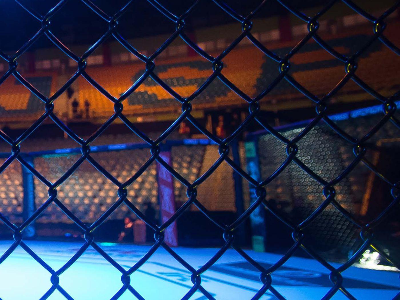 1400x1050 Video: MMA fighter suspended after child hurt in cageside incident