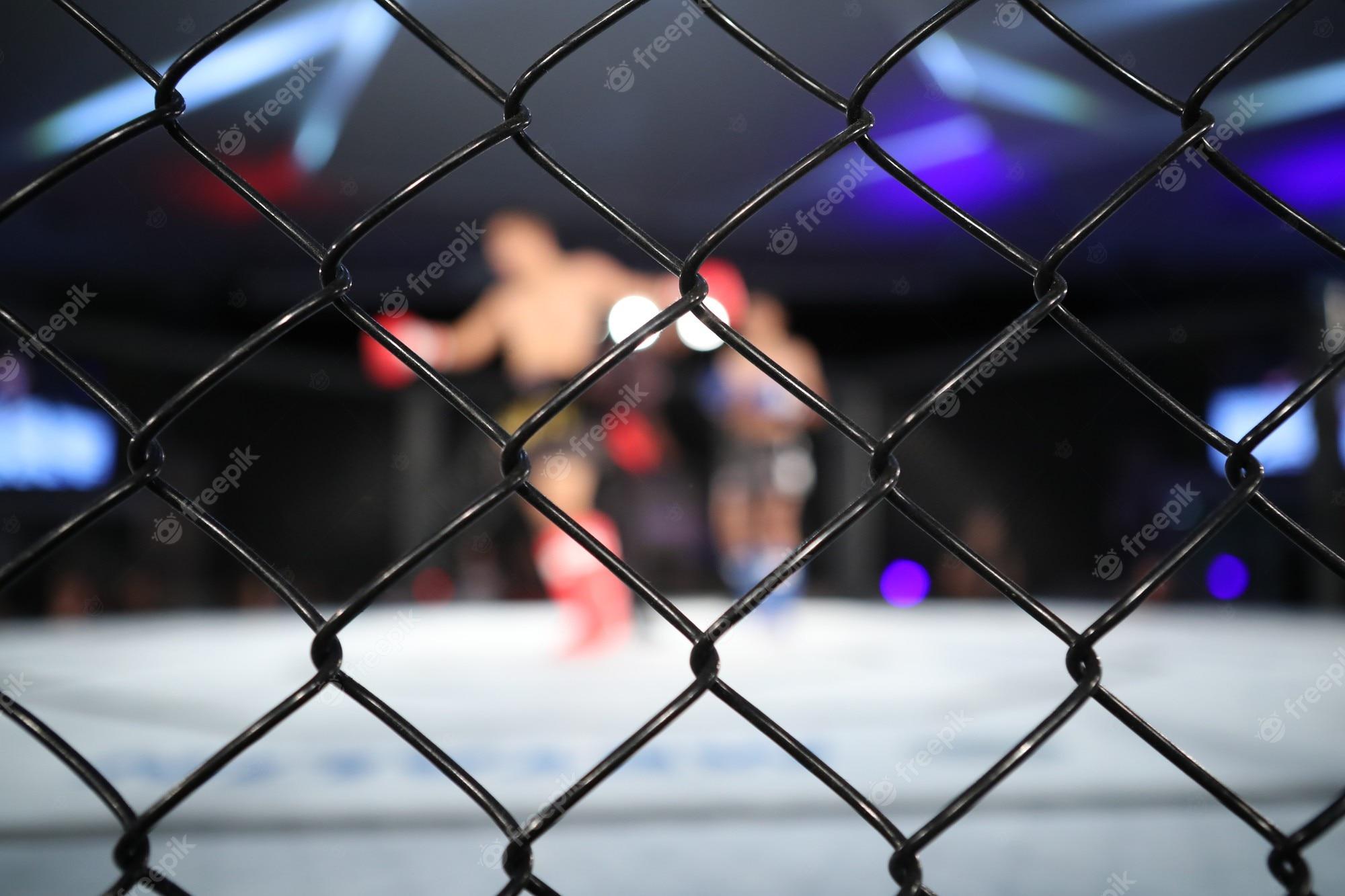 2000x1333 Mma Octagon Image