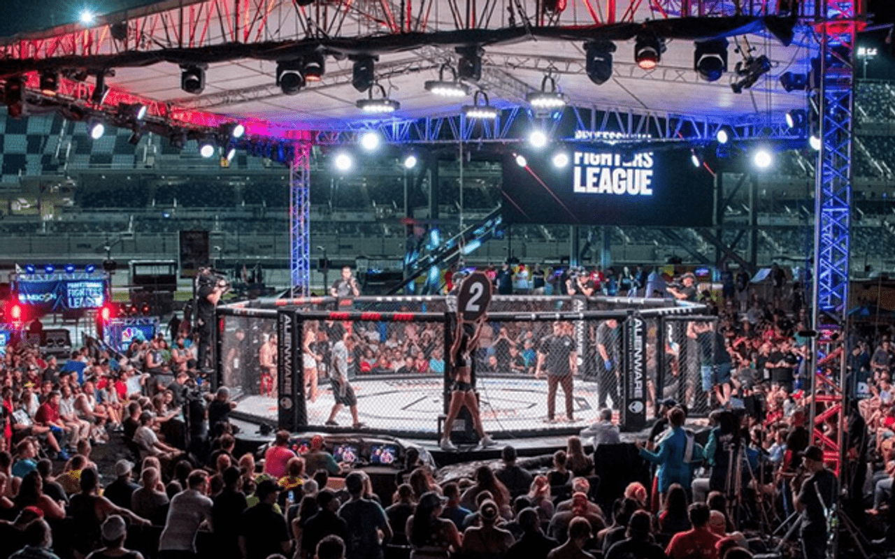 1280x800 PRO MMA Decagon Official MMA Cage FIGHT SHOP