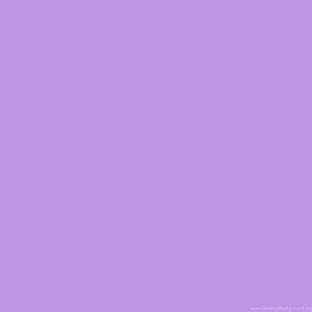 1024x1024 Bright Lavender Solid Color Background Desktop Background