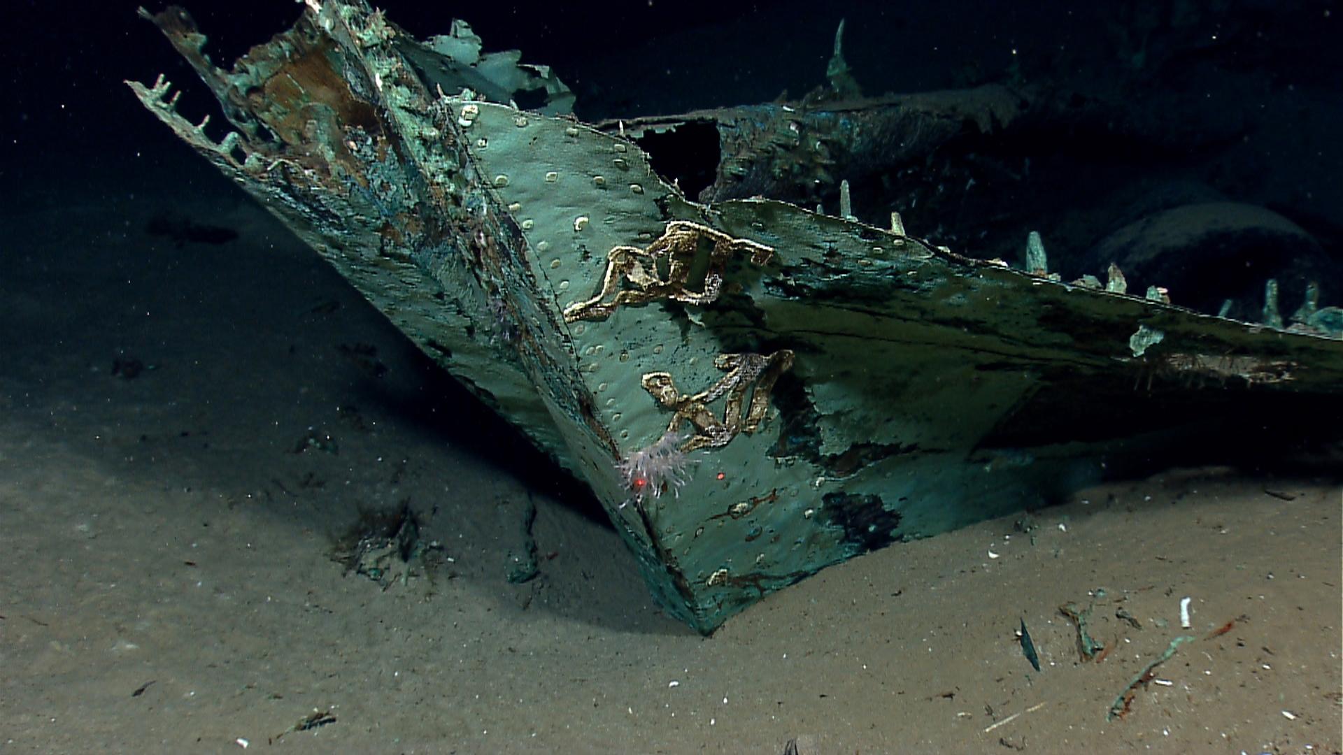 1920x1080 NOAA, BOEM: Historic, 19th century shipwreck discovered in northern Gulf of Mexico to NOAA Research