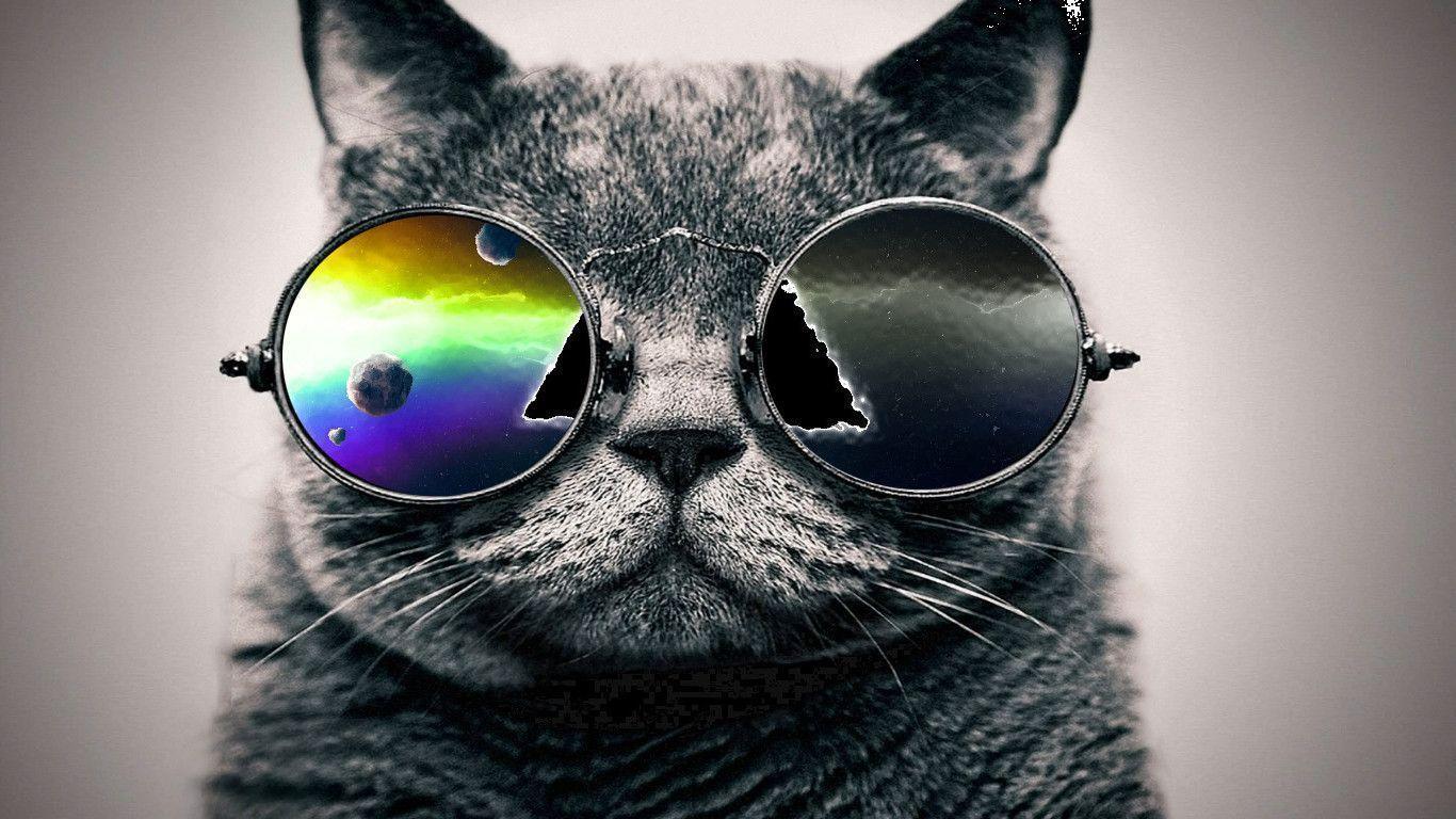 1366x768 Galaxy Cat Wallpaper