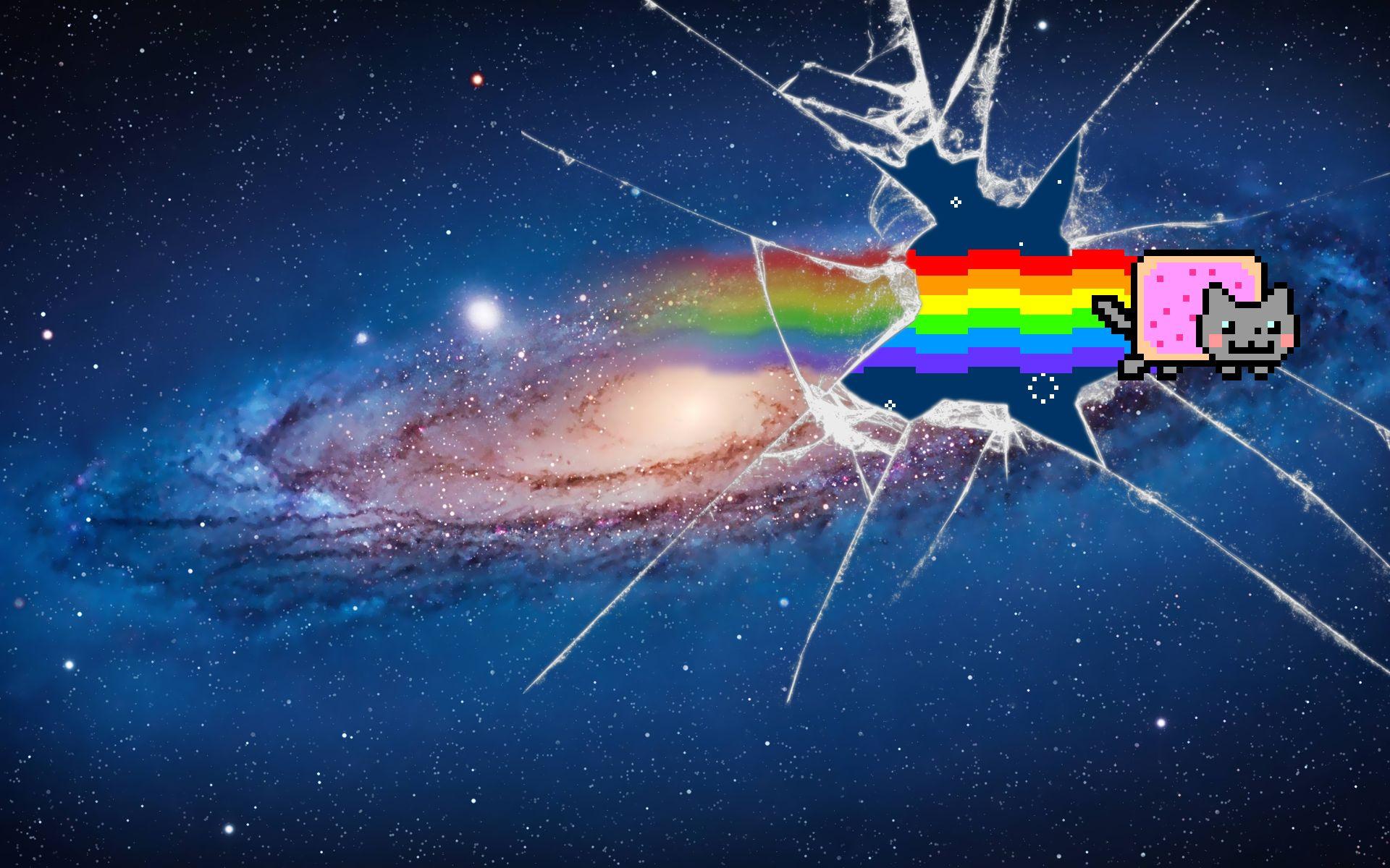 1920x1200 Galaxy Cat