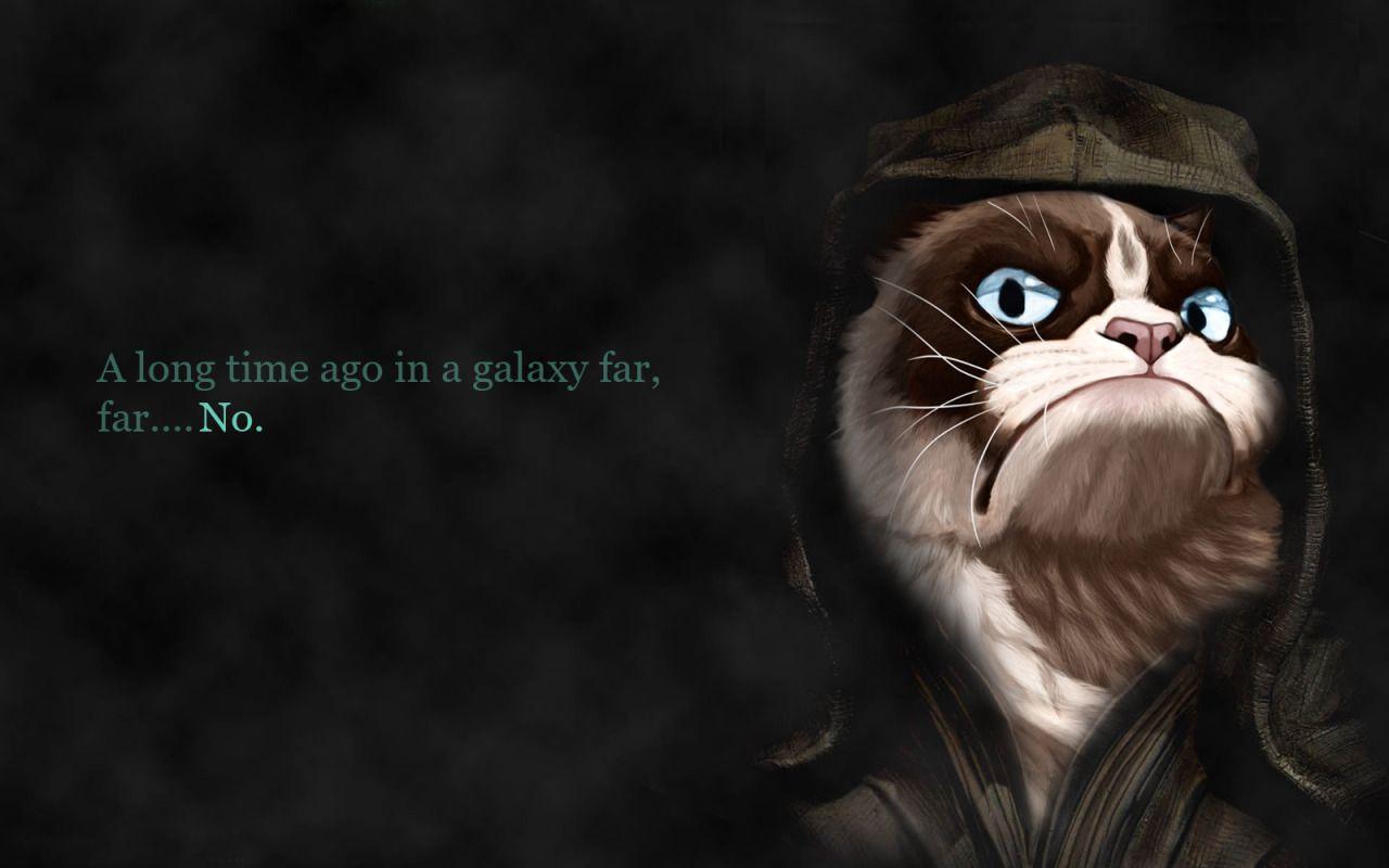 1280x800 Grumpy Cat Wallpaper For Computer