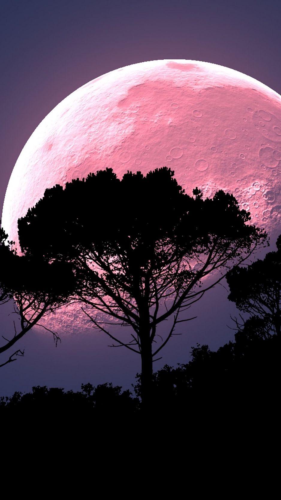 Pink Moon Aesthetic Wallpapers - Top Free Pink Moon Aesthetic ...