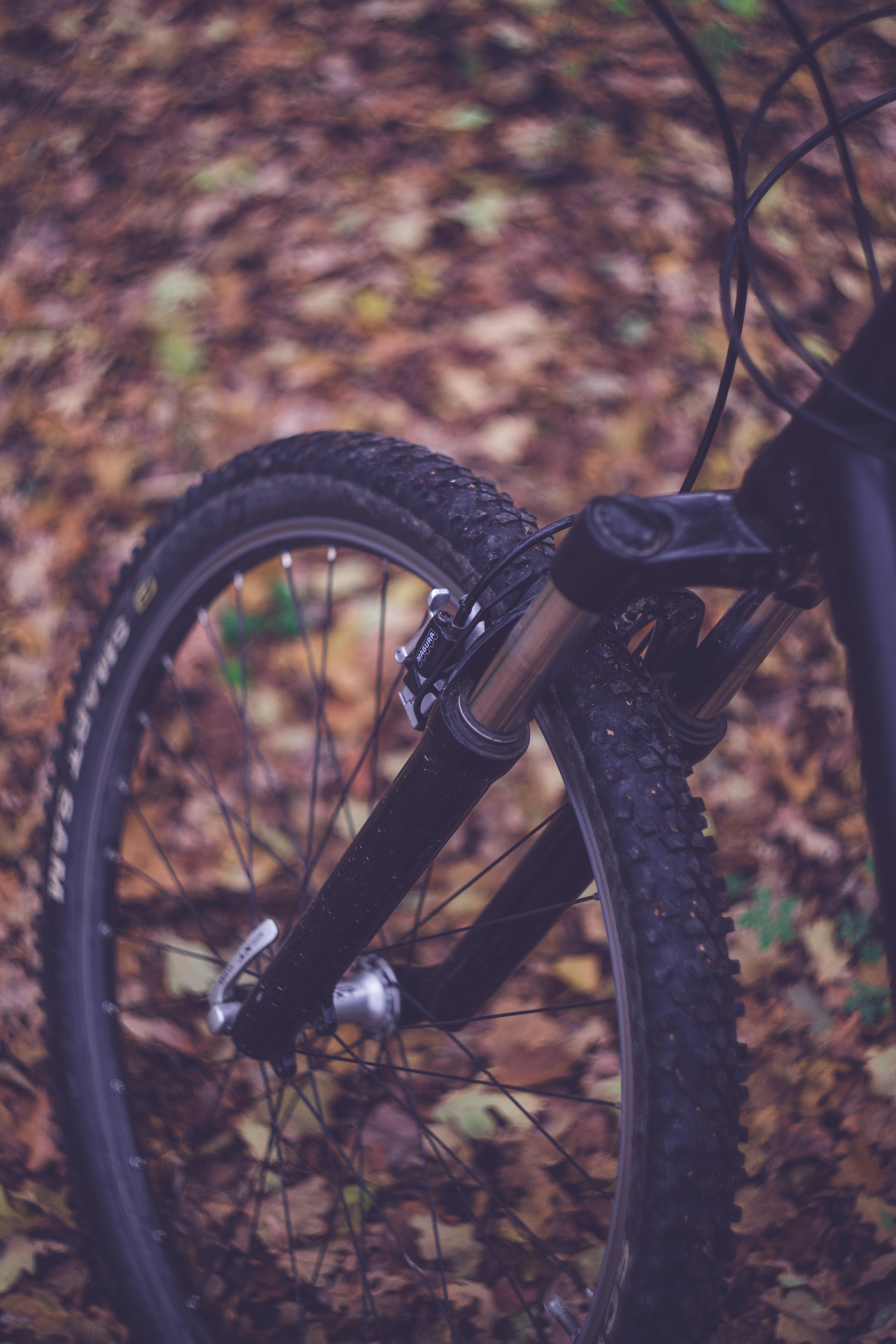 3840x5760 Mountain Bike Photo, Download Free Mountain Bike & HD Image