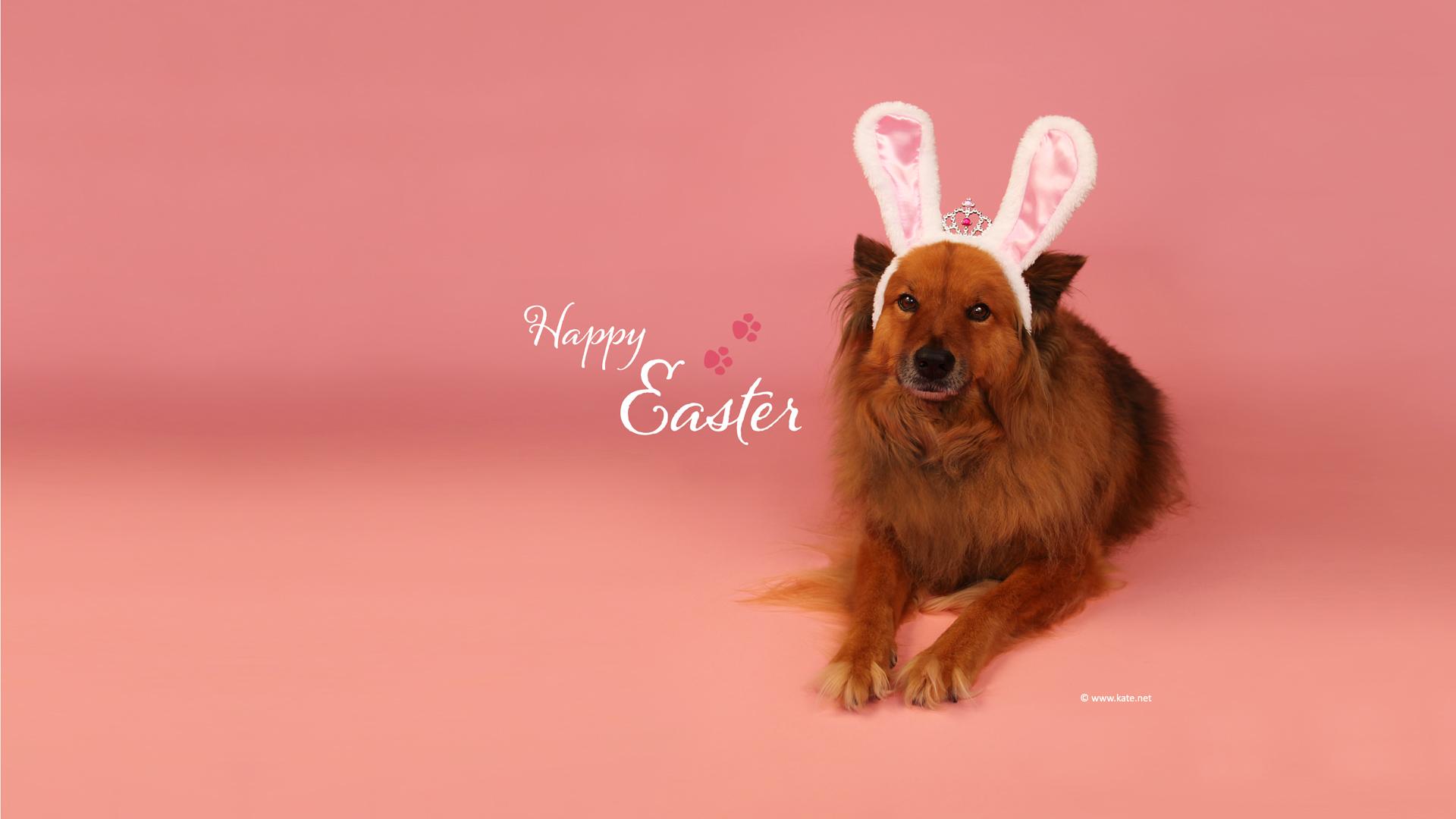 1920x1080 Free Easter Wallpaper, Desktop Background by