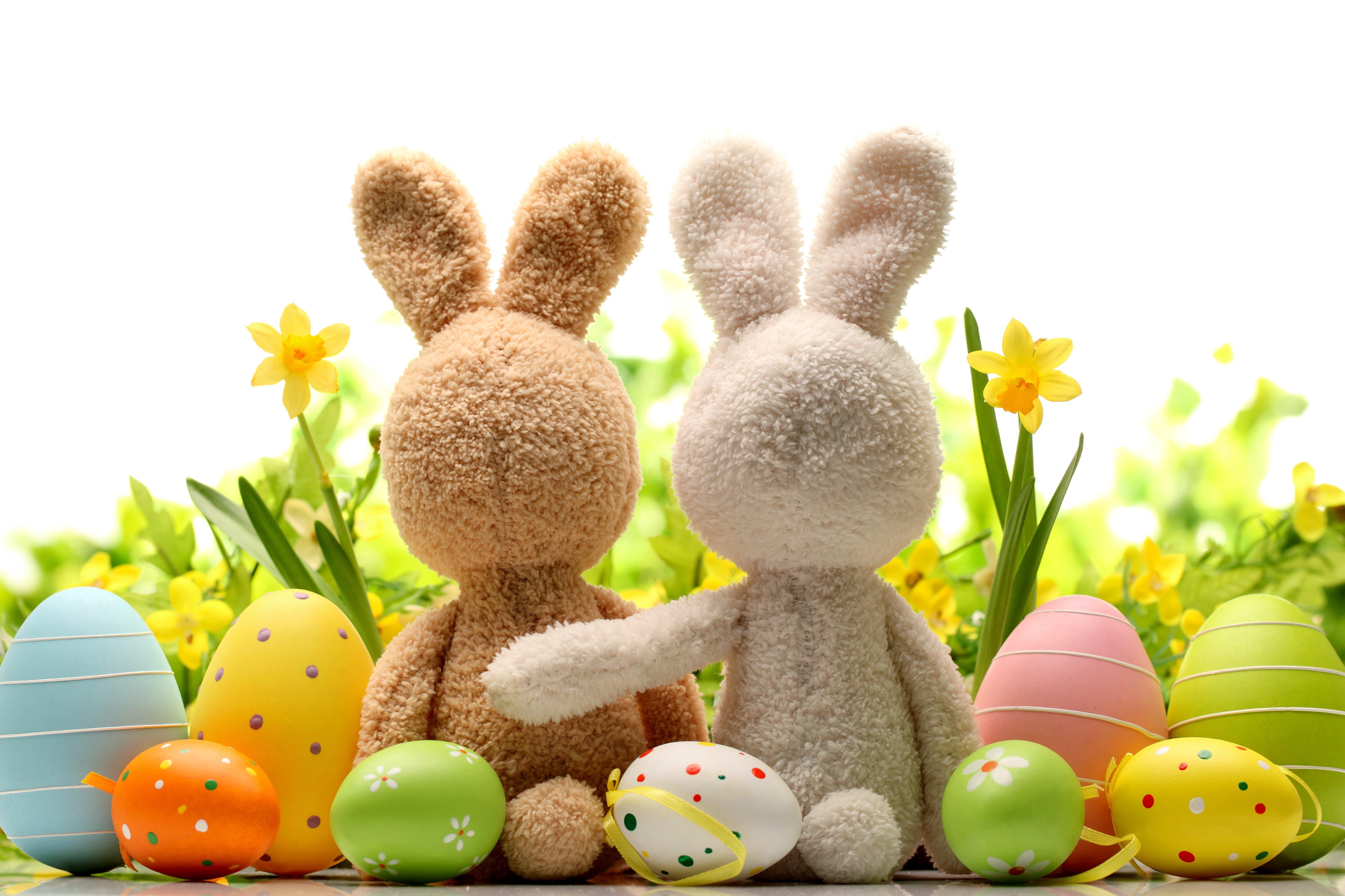 5616x3744 Easter Background