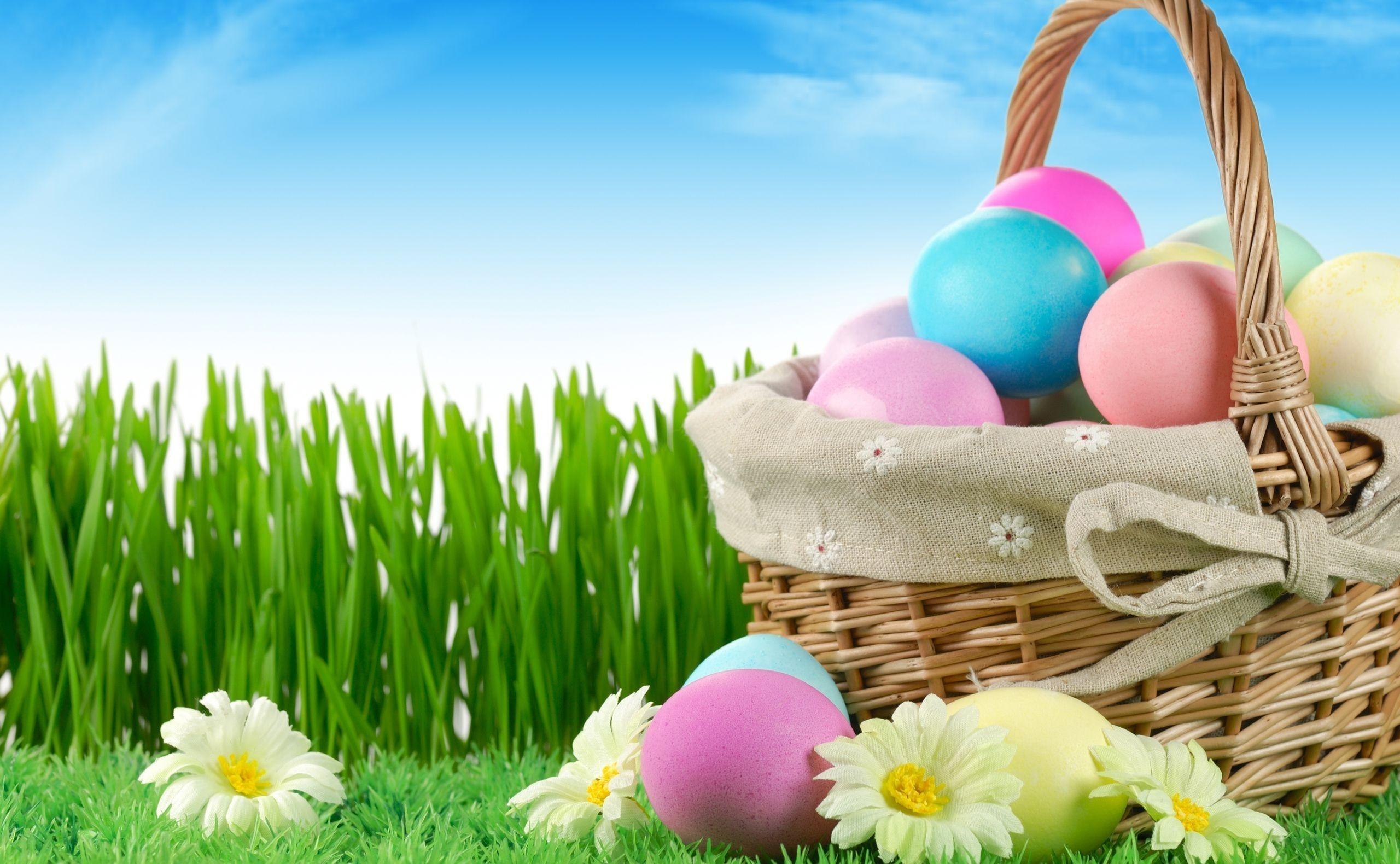2560x1580 Easter Wallpaper HD download free colletion