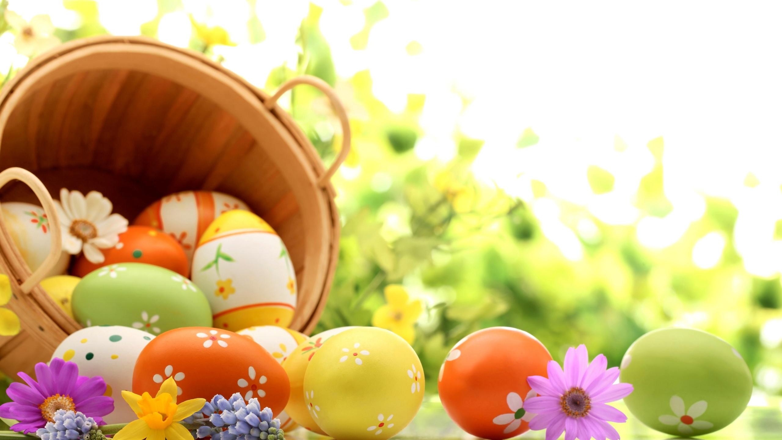 2560x1440 Easter eggs spring holiday wallpaperx1440