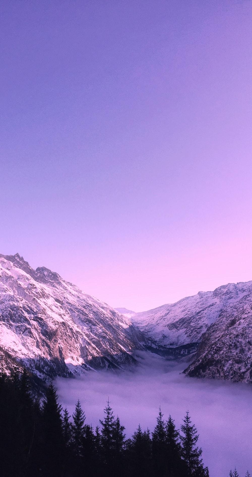 1000x1895 Purple Wallpaper: Free HD Download [HQ]
