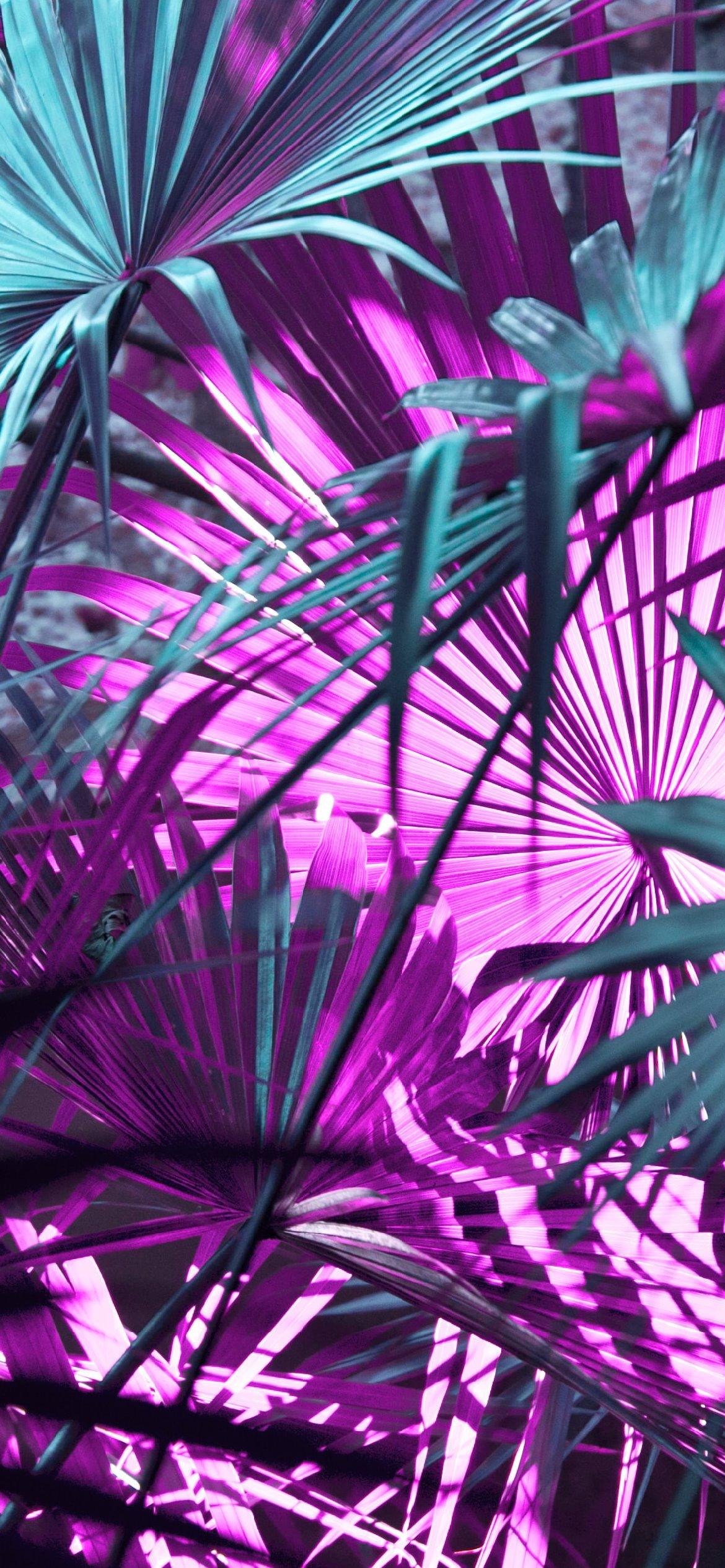 1170x2532 Free Purple Aesthetic Wallpaper Background Perfect For Your iPhone