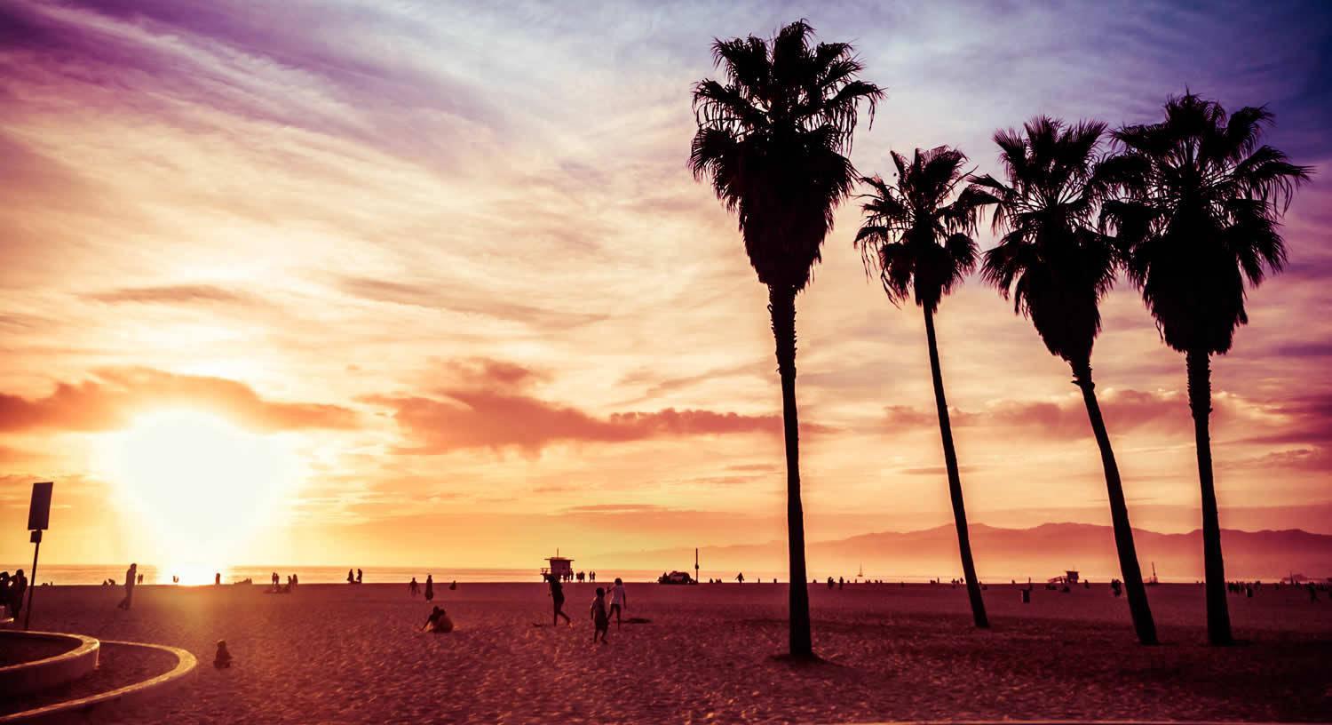 1500x816 Download Venice Beach Sun Setting Trees Wallpaper