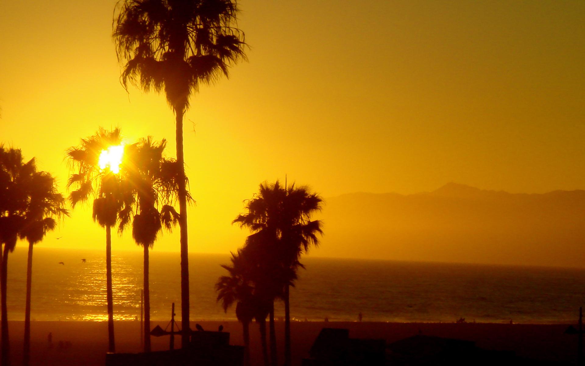 1920x1200 Venice Beach California Wallpaper