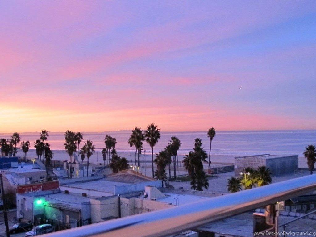 1024x768 Download Venice Beach Pink Sunset Wallpaper