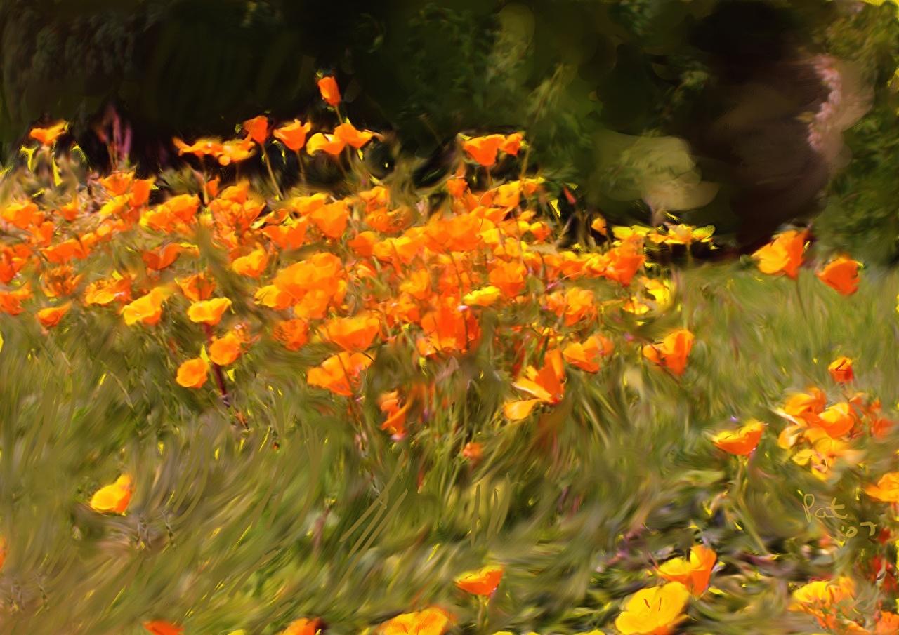 1280x905 Desktop Wallpaper Smiling Flowers Painting Art