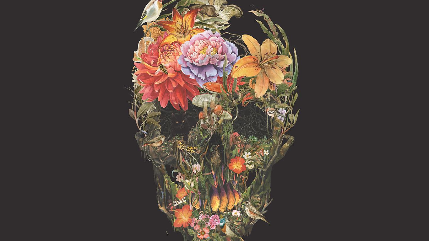 1366x768 wallpaper for desktop, laptop. skull flower dark painting art