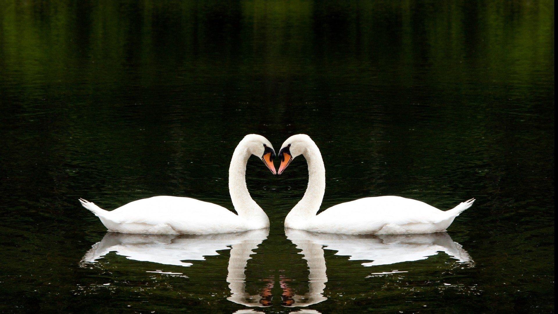 1920x1080 Romantic Love Wallpaper