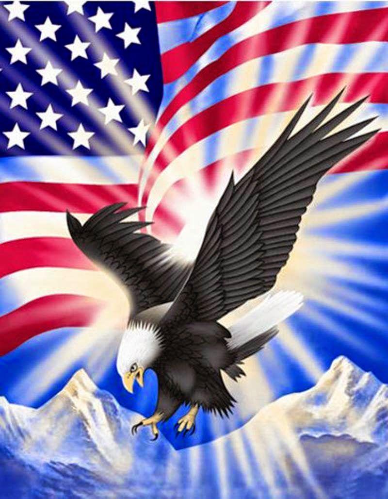 800x1028 THE WONDER FAIRY little of this A lot of that: THE UNITED STATES OF AMERICA. American flag wallpaper, Eagle wallpaper, Bald eagle