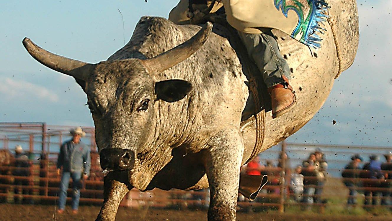 1328x750 Bull market turns 8: stock winners and losers