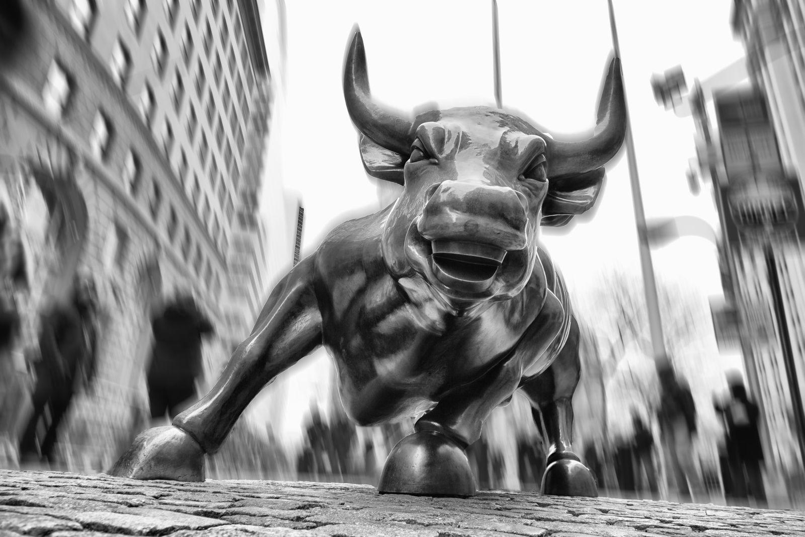 1600x1067 Watch out !!!. Wall street, Digital wallpaper, Bull