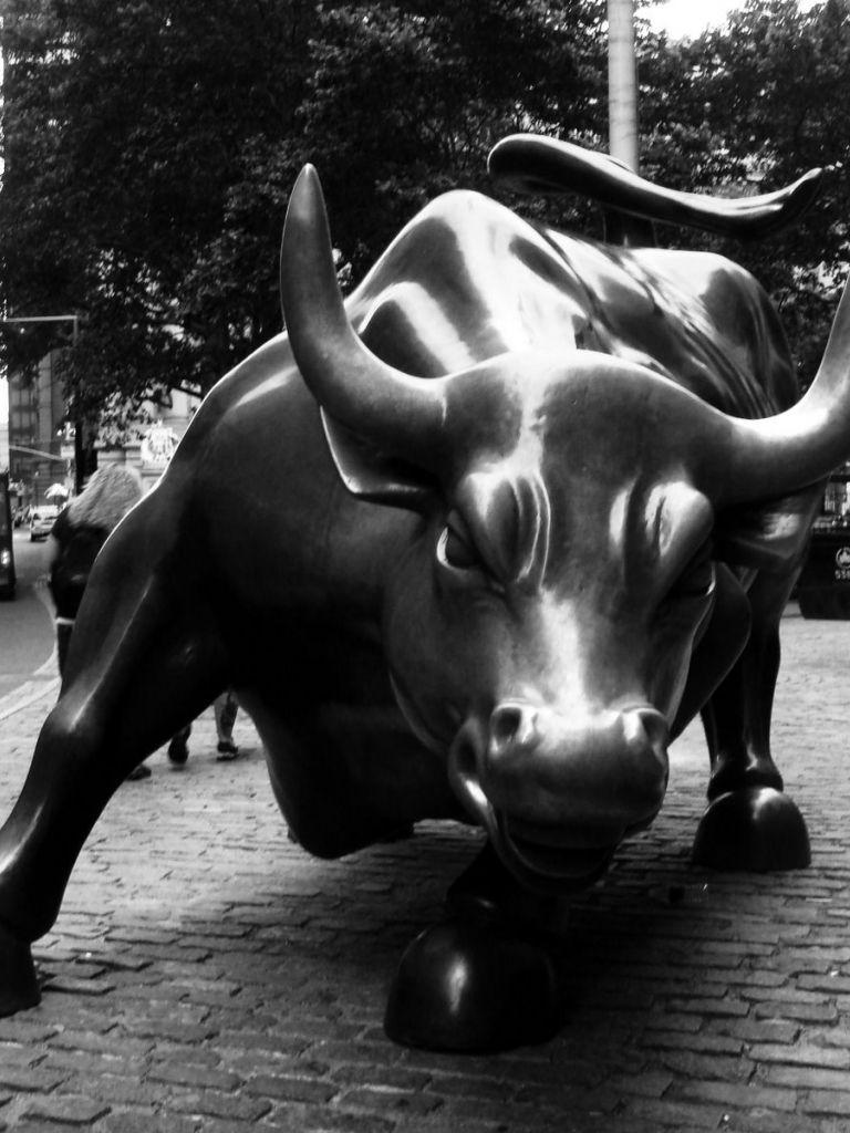 768x1024 Wall Street Bull Desktop Wallpaper